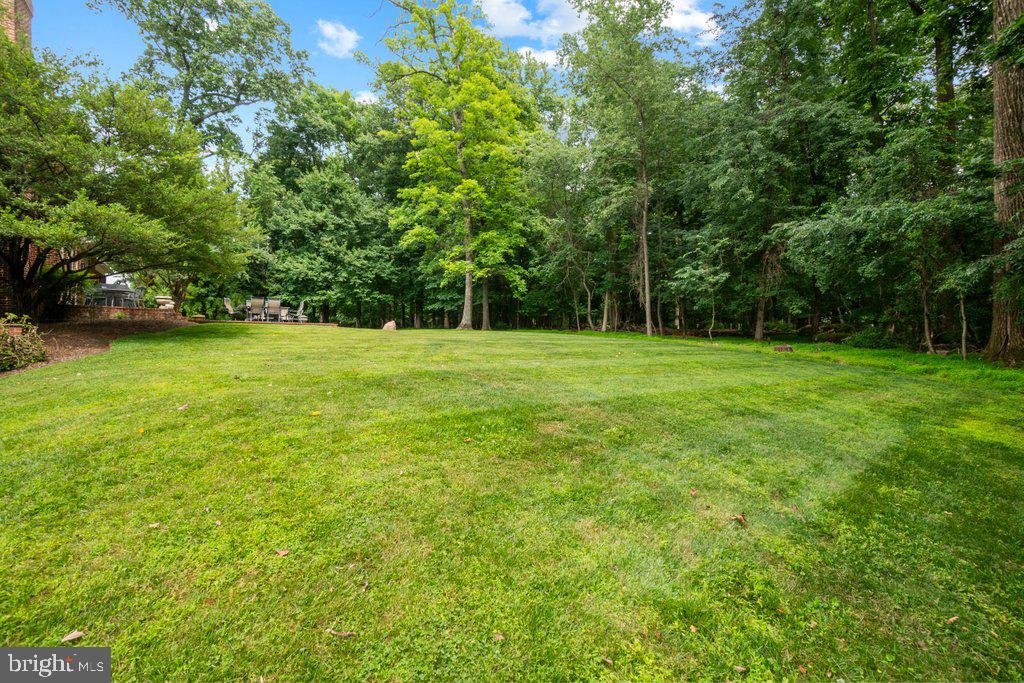 CHESTNUT WOODS - Residential