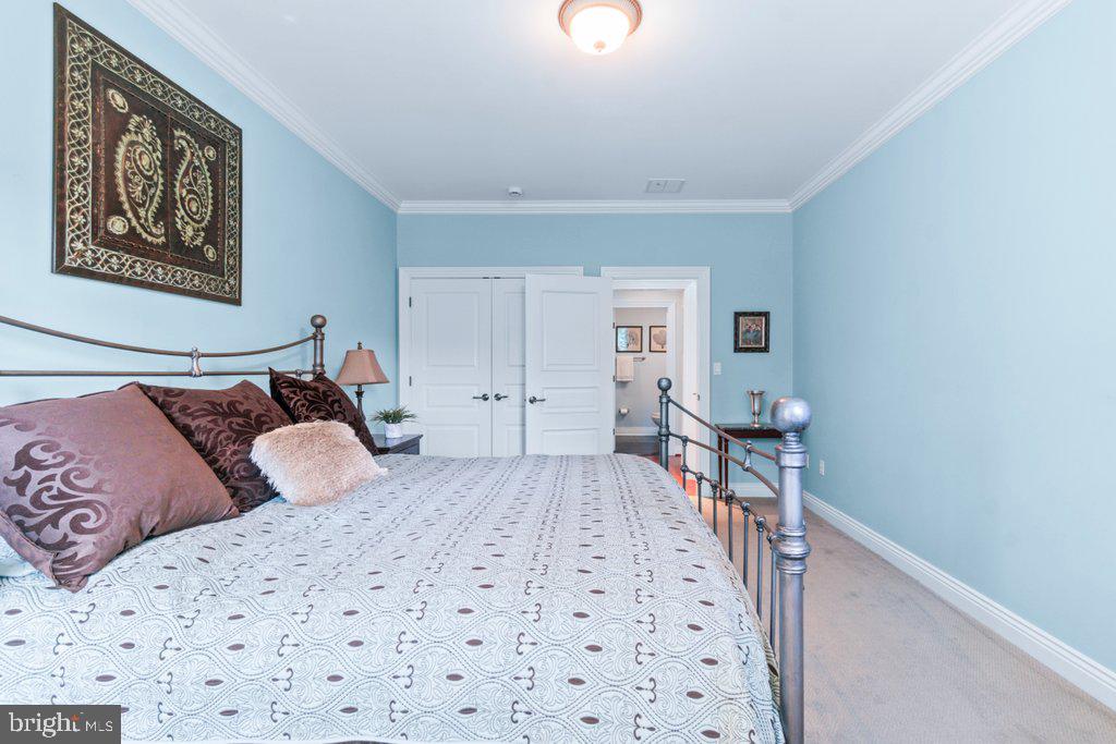CHESTNUT WOODS - Residential