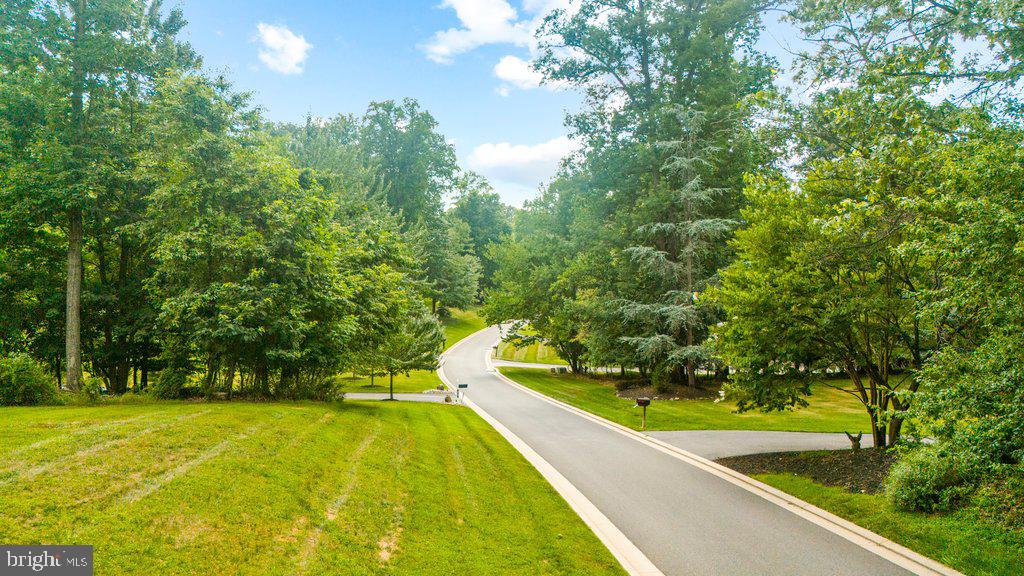 CHESTNUT WOODS - Residential