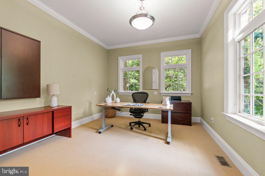 CHESTNUT WOODS - Residential