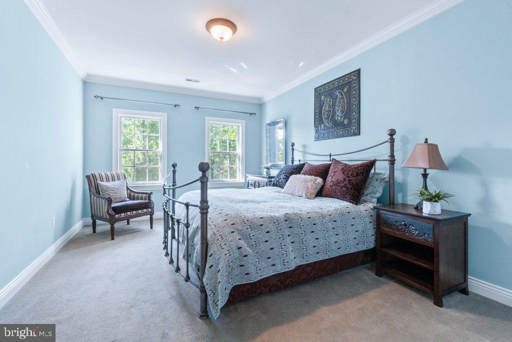 CHESTNUT WOODS - Residential