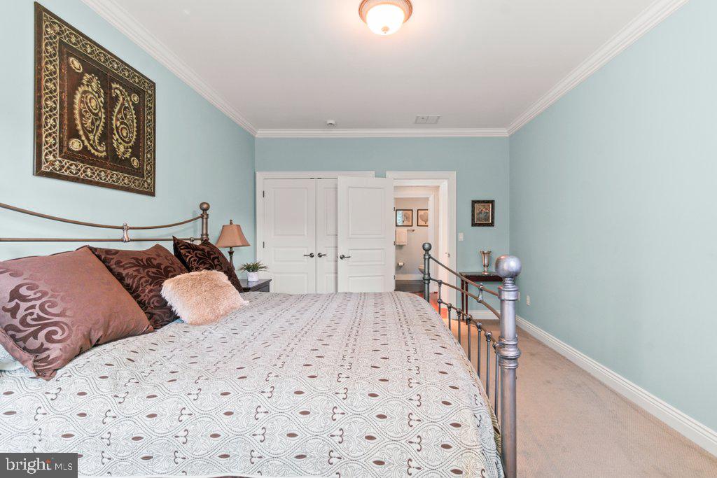 CHESTNUT WOODS - Residential