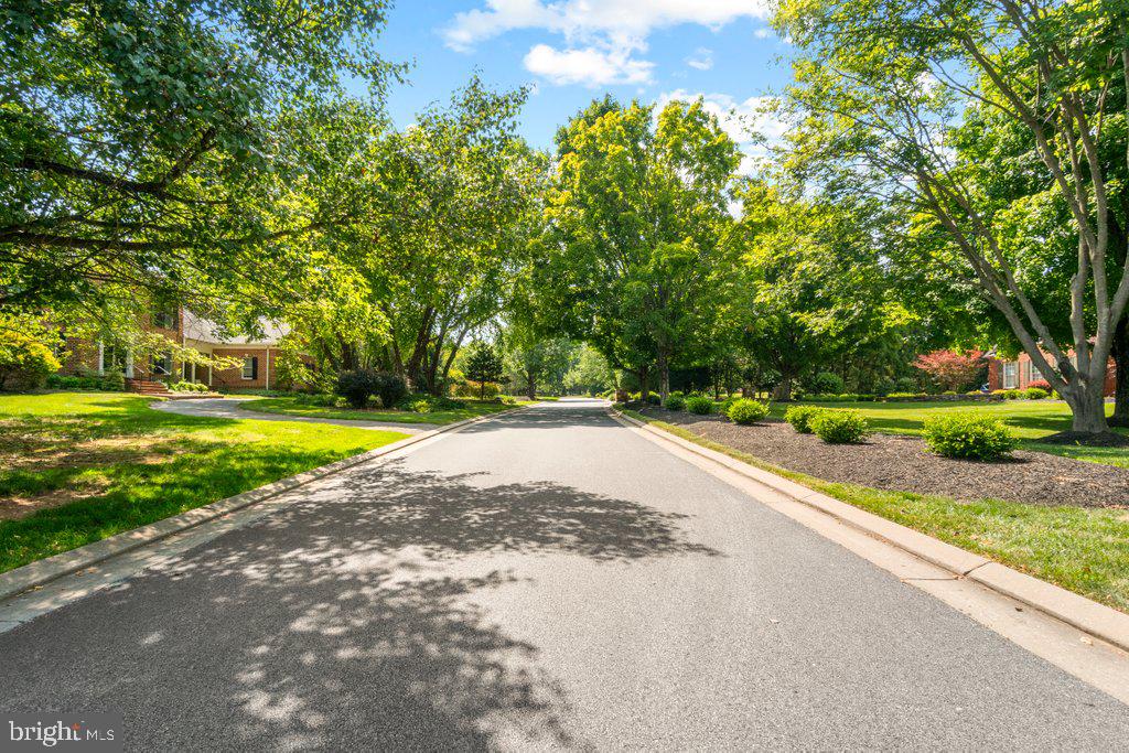 CHESTNUT WOODS - Residential