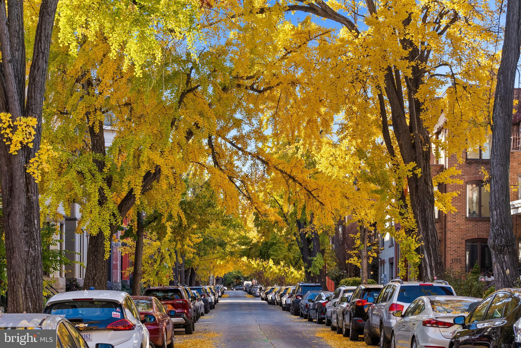 DUPONT CIRCLE - Residential