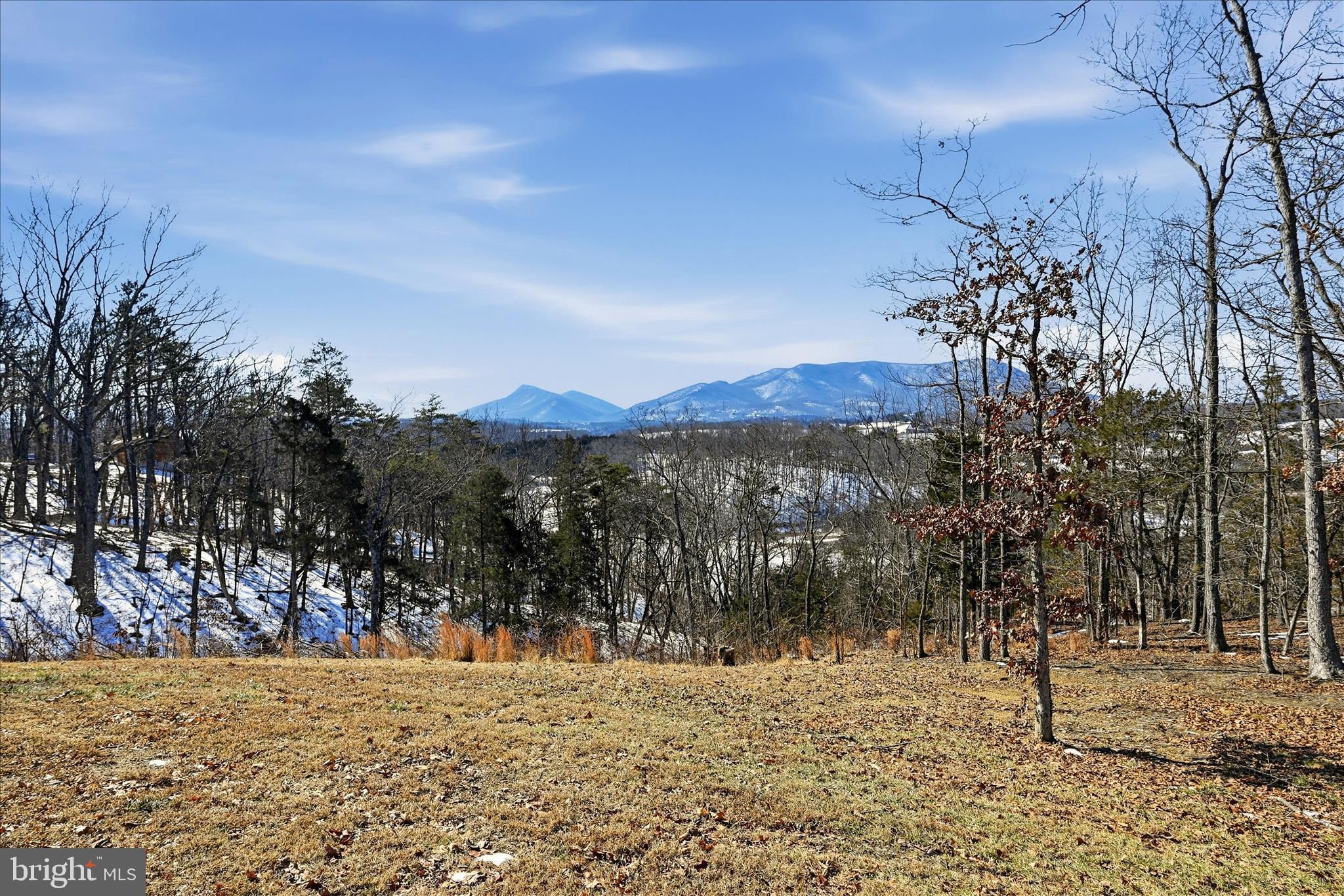 ESTATES AT LAKE JOHN - Residential