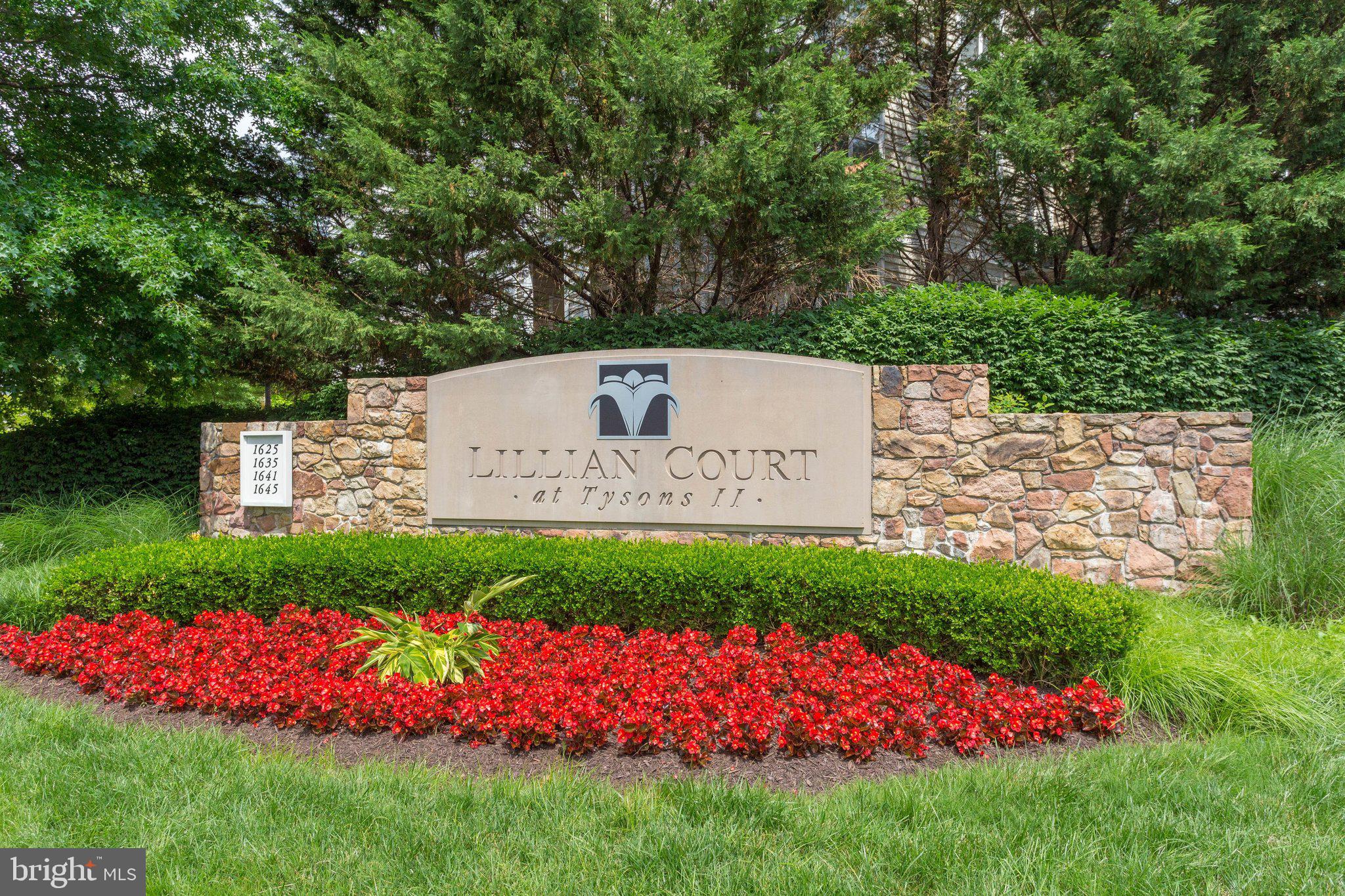 LILLIAN COURT AT TYSONS - Residential