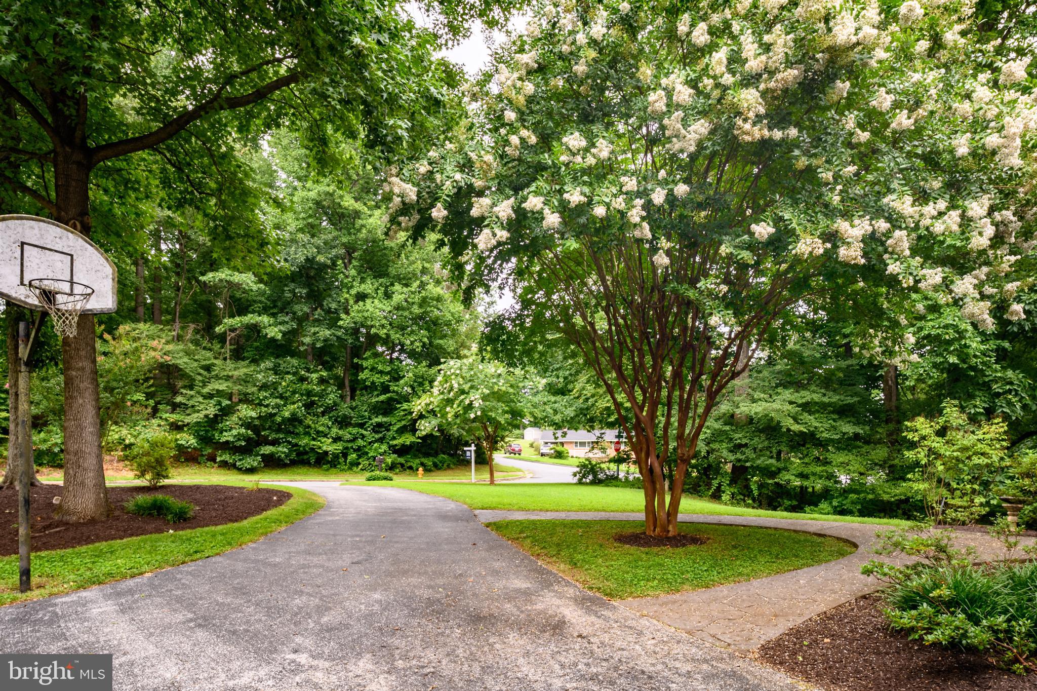 HAMMOND VILLAGE - Residential
