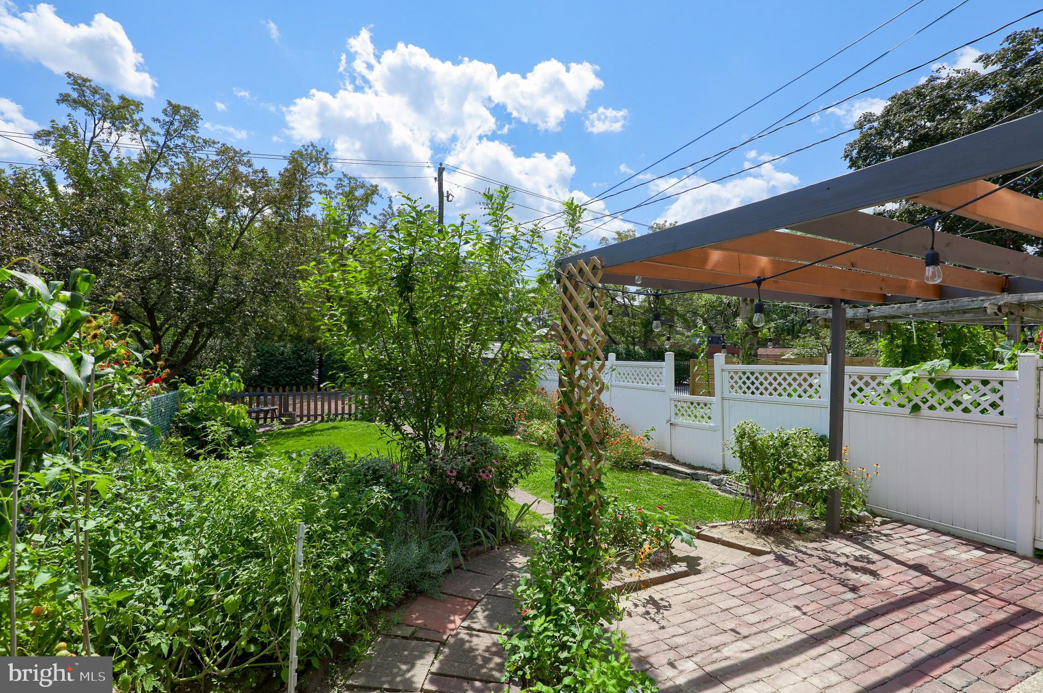 HAMILTON PARK - Residential