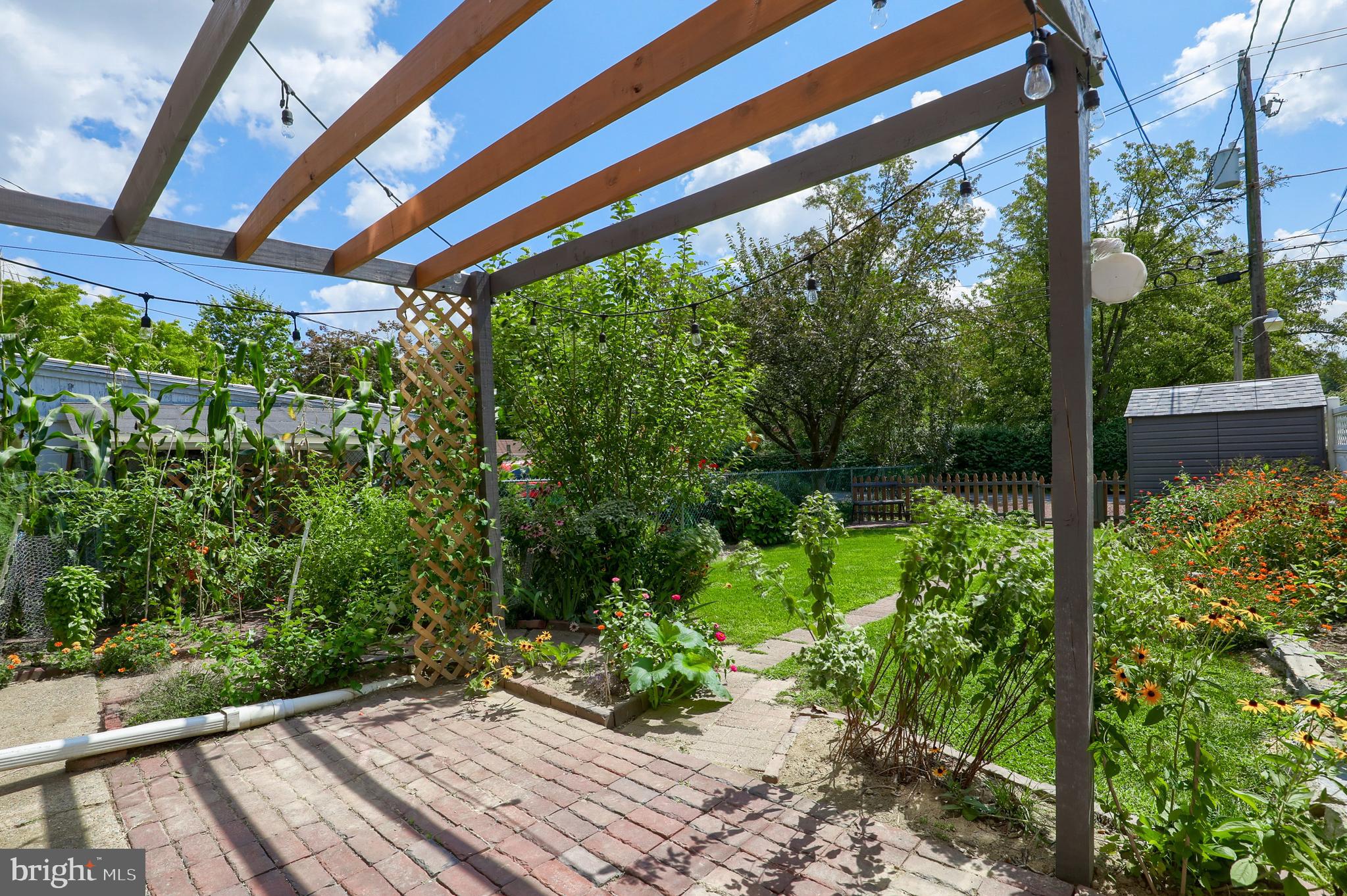 HAMILTON PARK - Residential