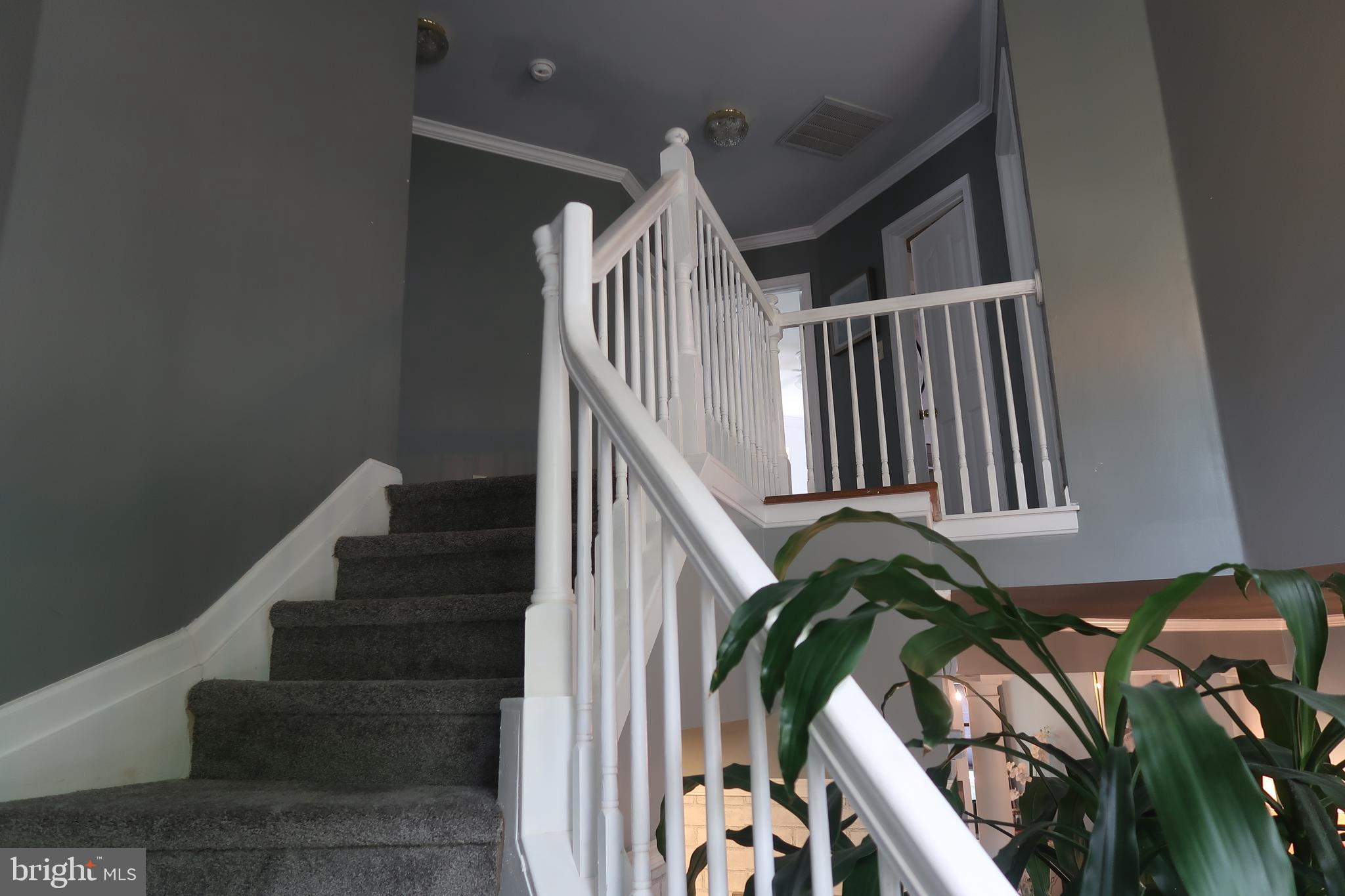 PATUXENT GLEN - Residential