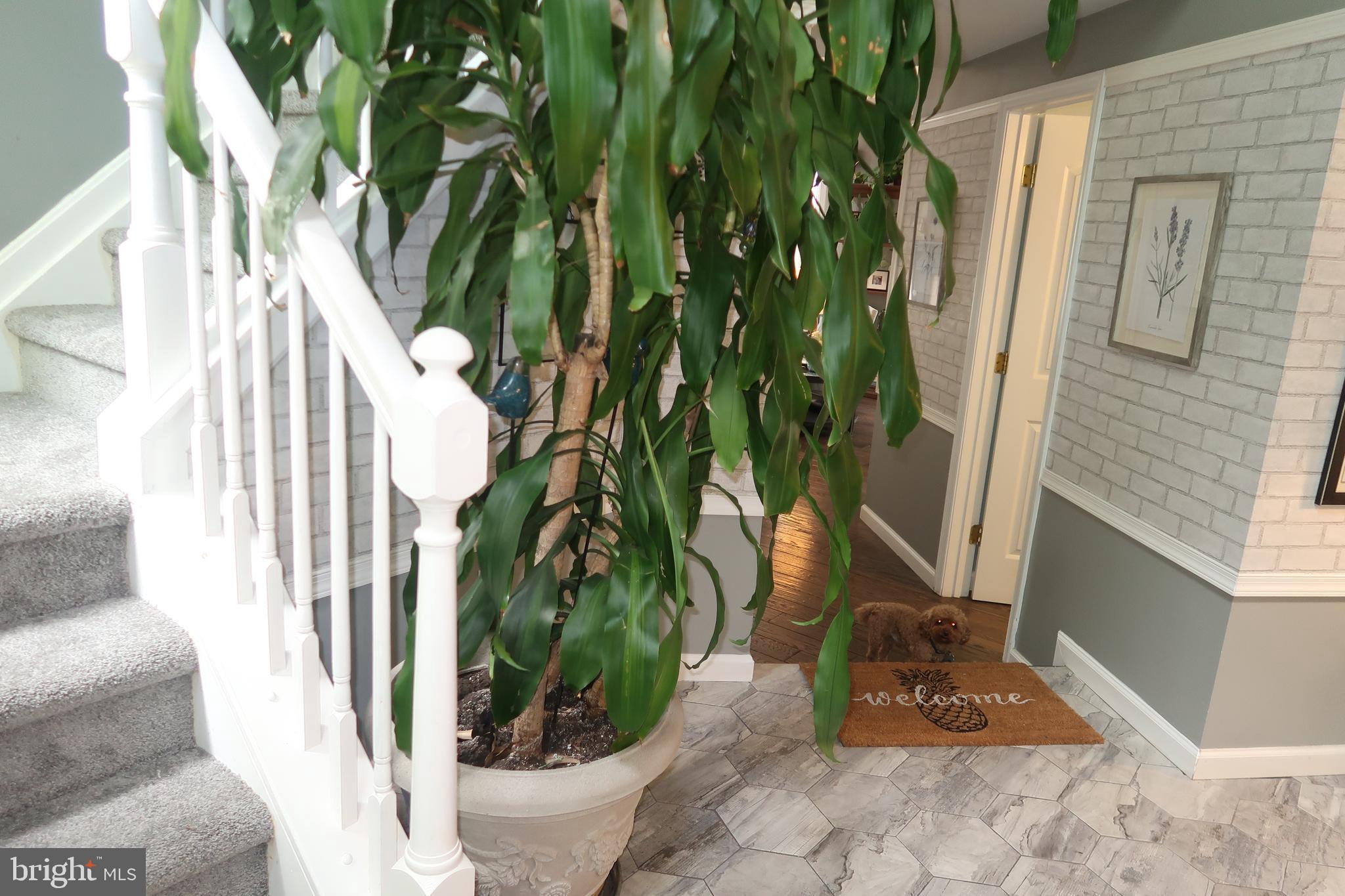 PATUXENT GLEN - Residential