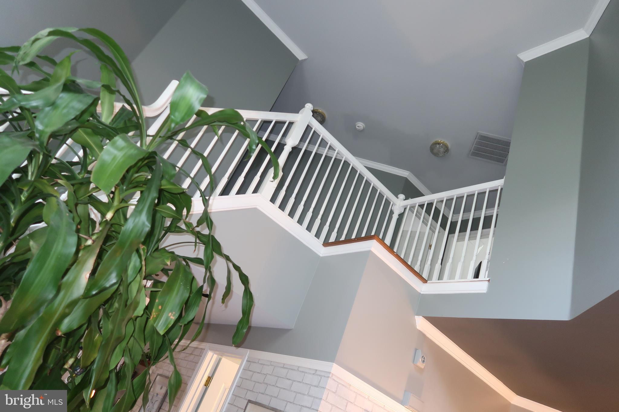 PATUXENT GLEN - Residential