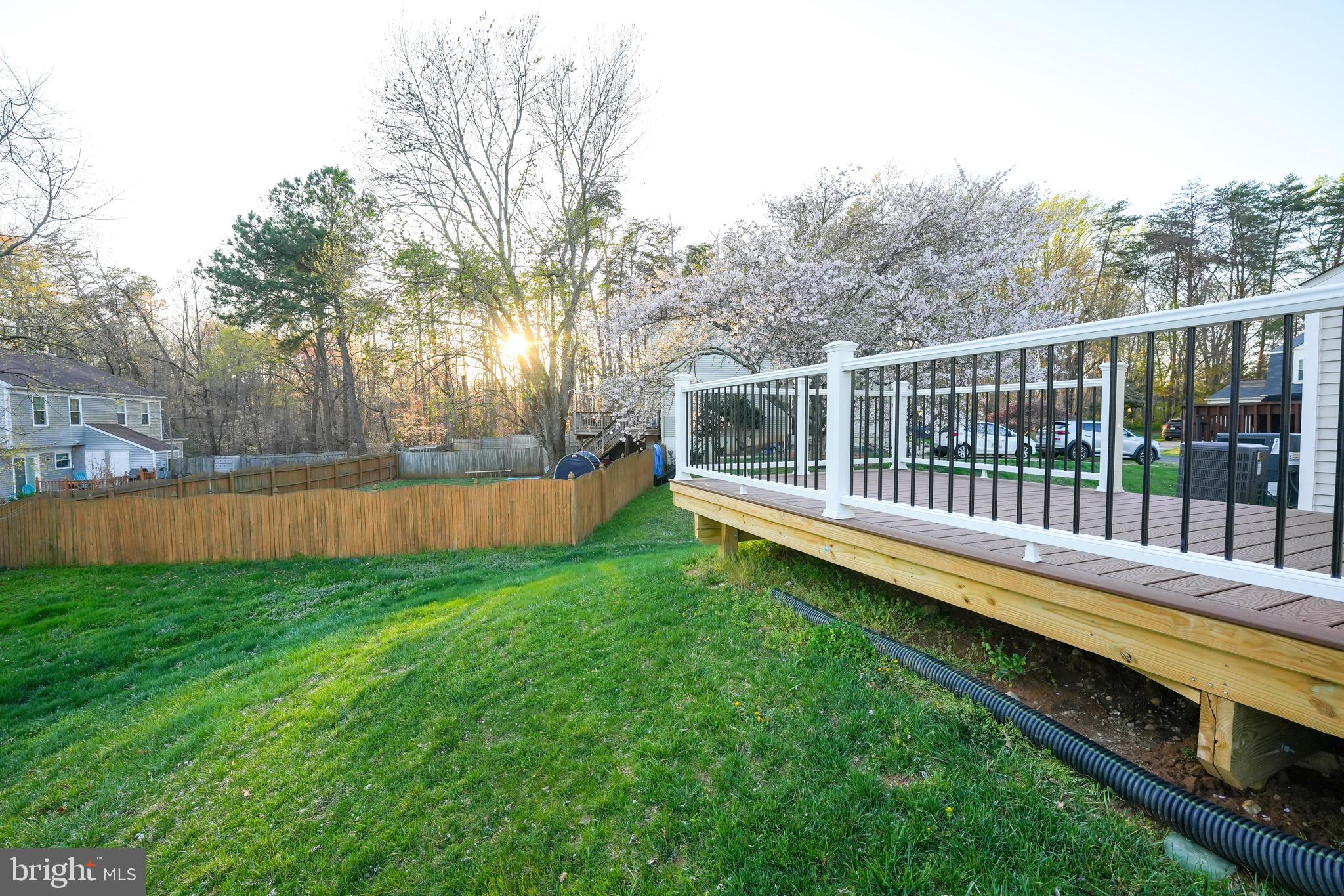 MONTCLAIR ST3 - Residential Lease