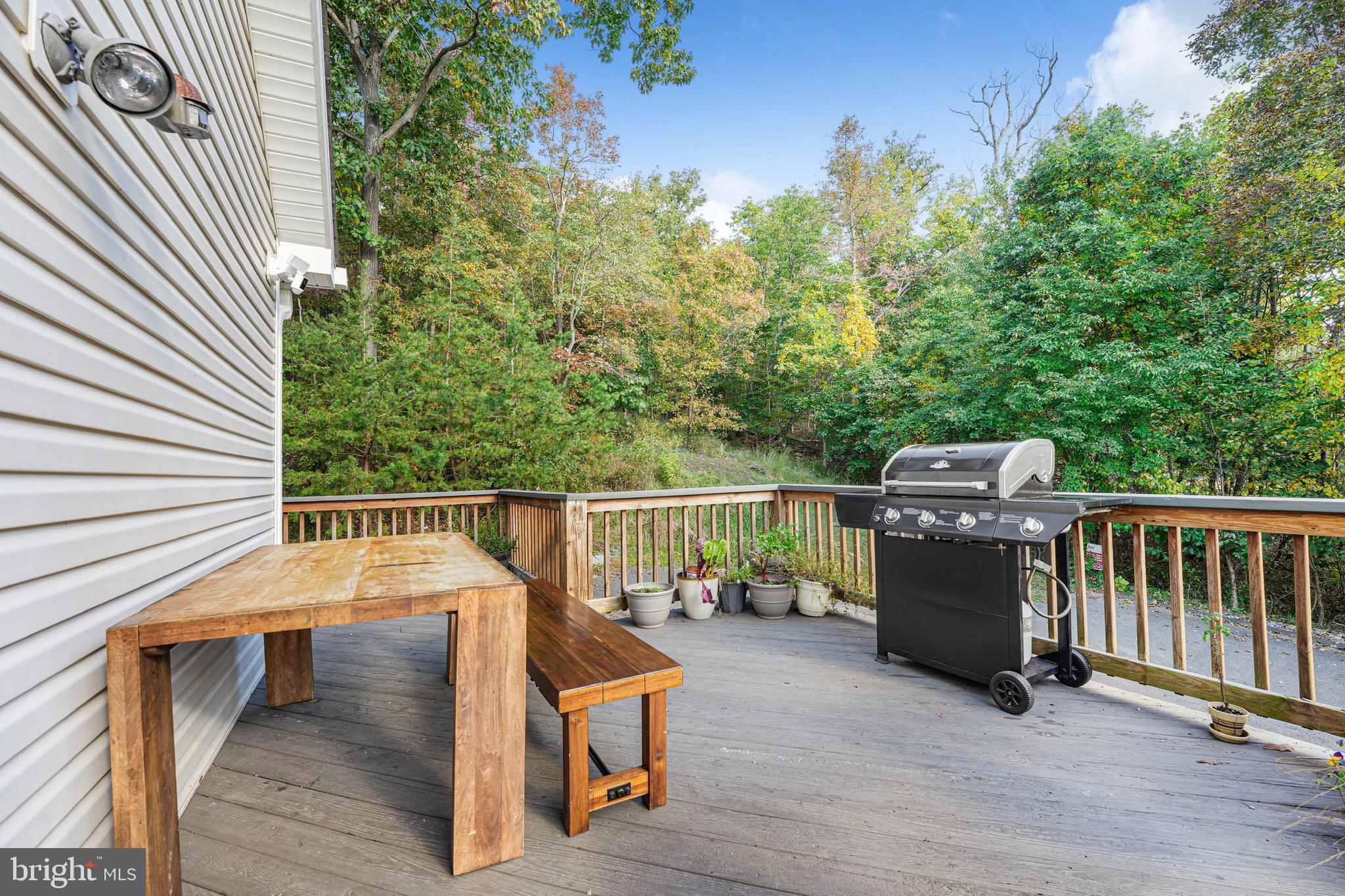 SHENANDOAH FARMS - Residential