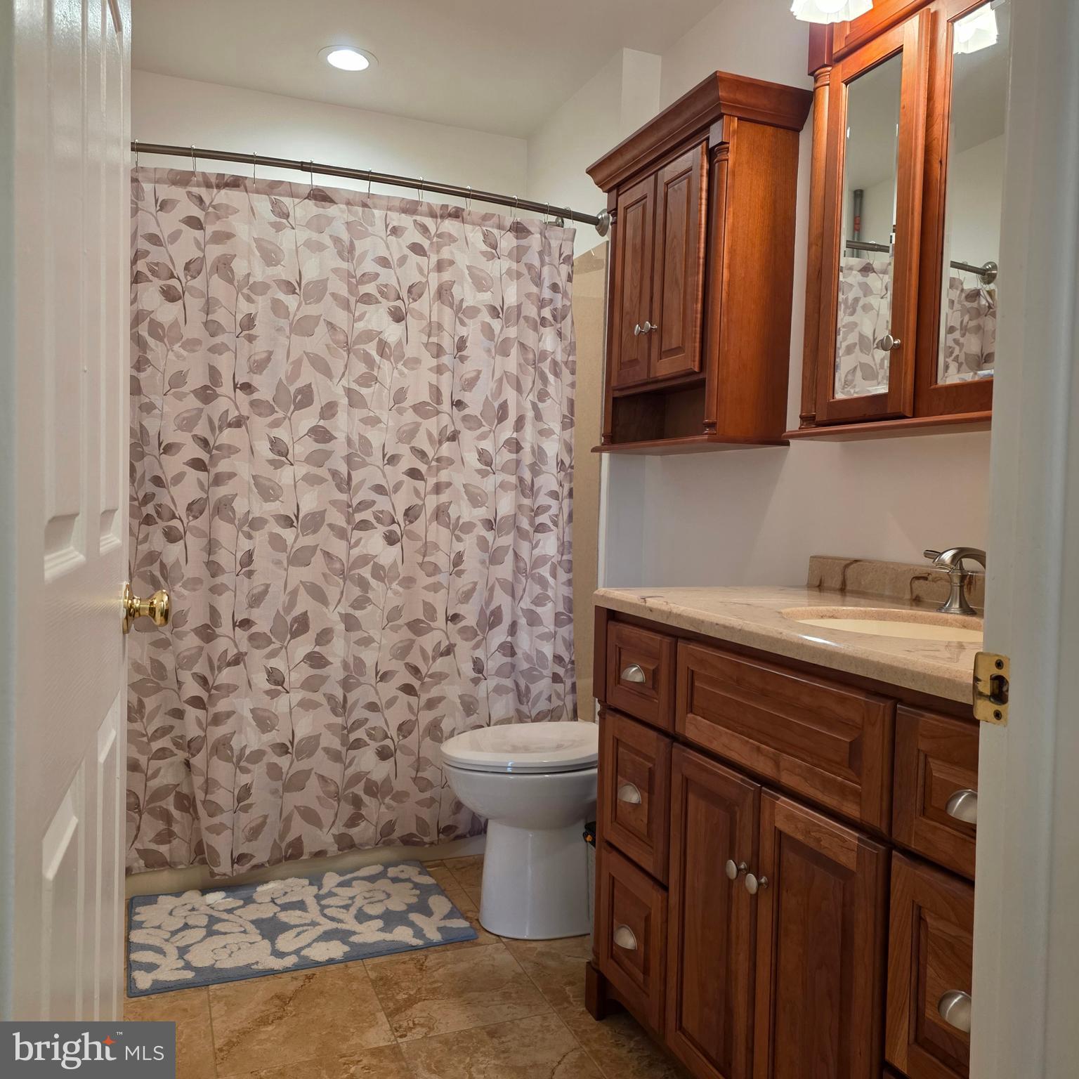SILVER SPRING STATION - Residential