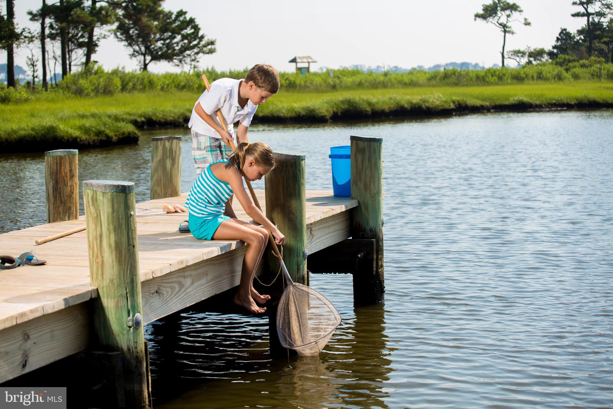 BAYSIDE - Residential