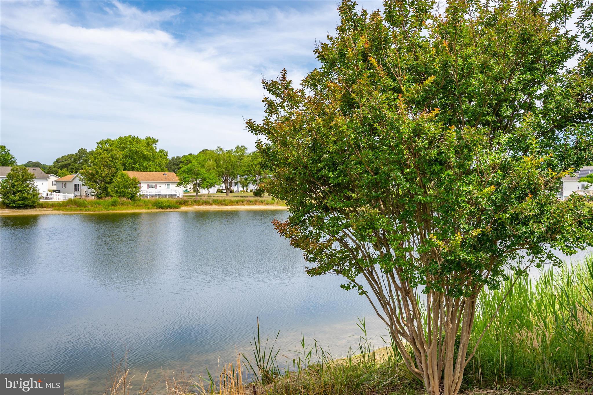 BAY VISTA AT MYSTIC HARBOR - Residential