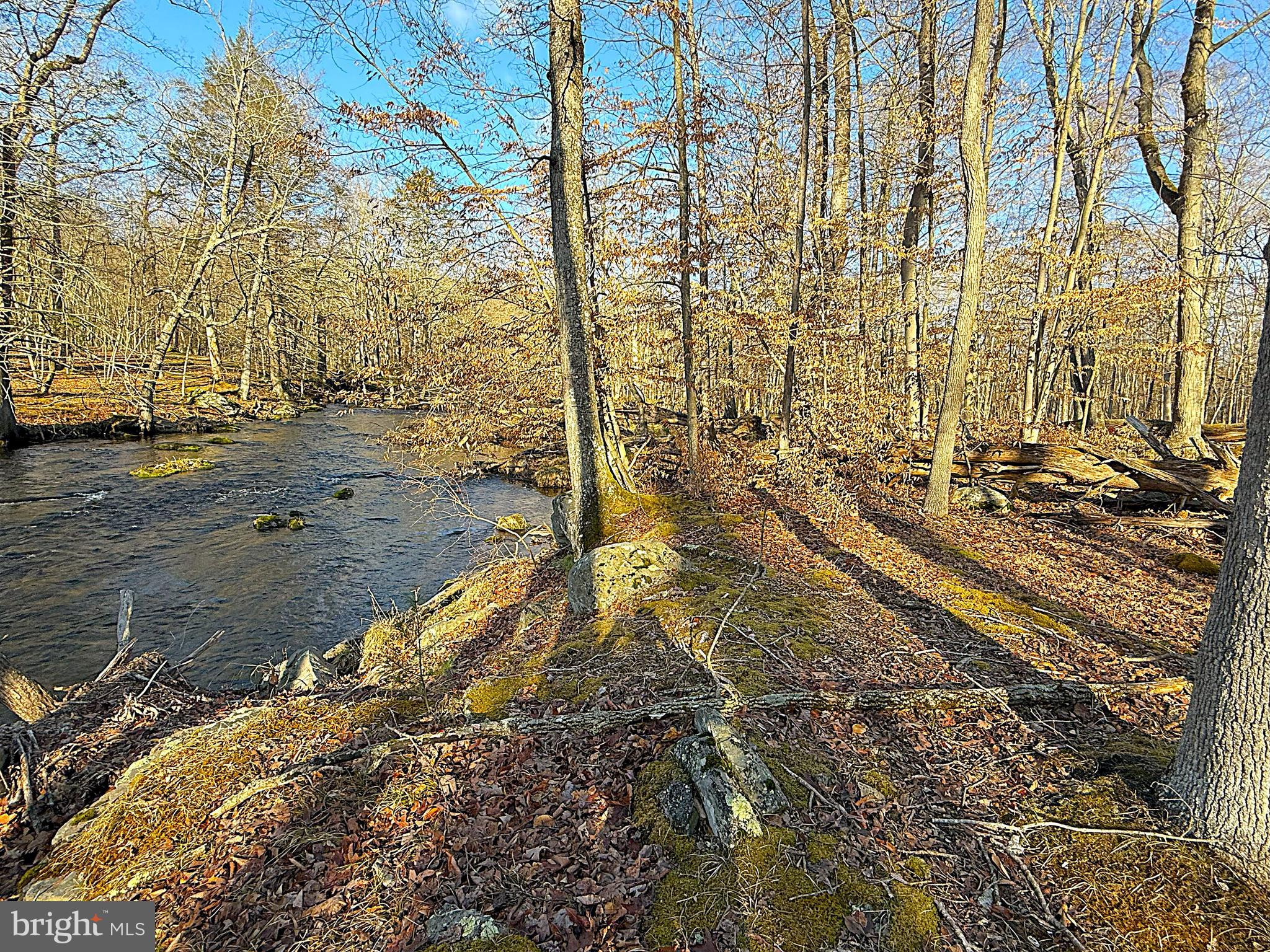 SAW CREEK ESTATES - Residential