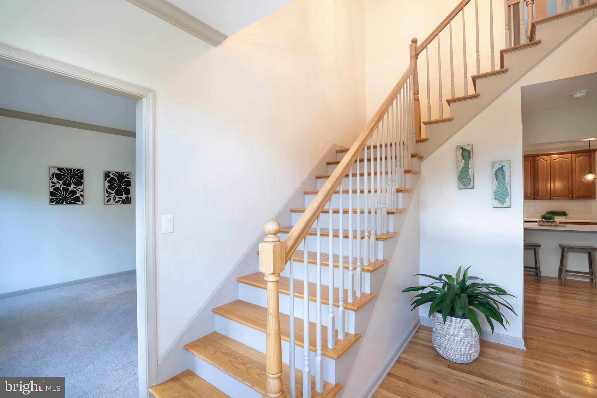 WESTFIELD - Residential