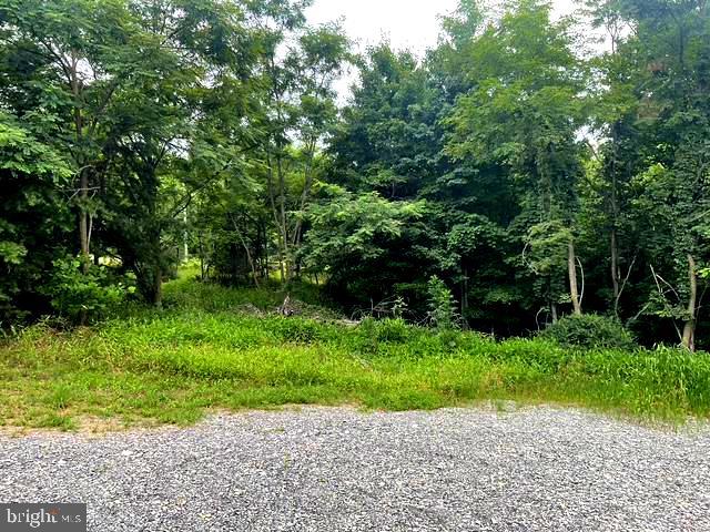 BLUFFS ON THE POTOMAC - Residential