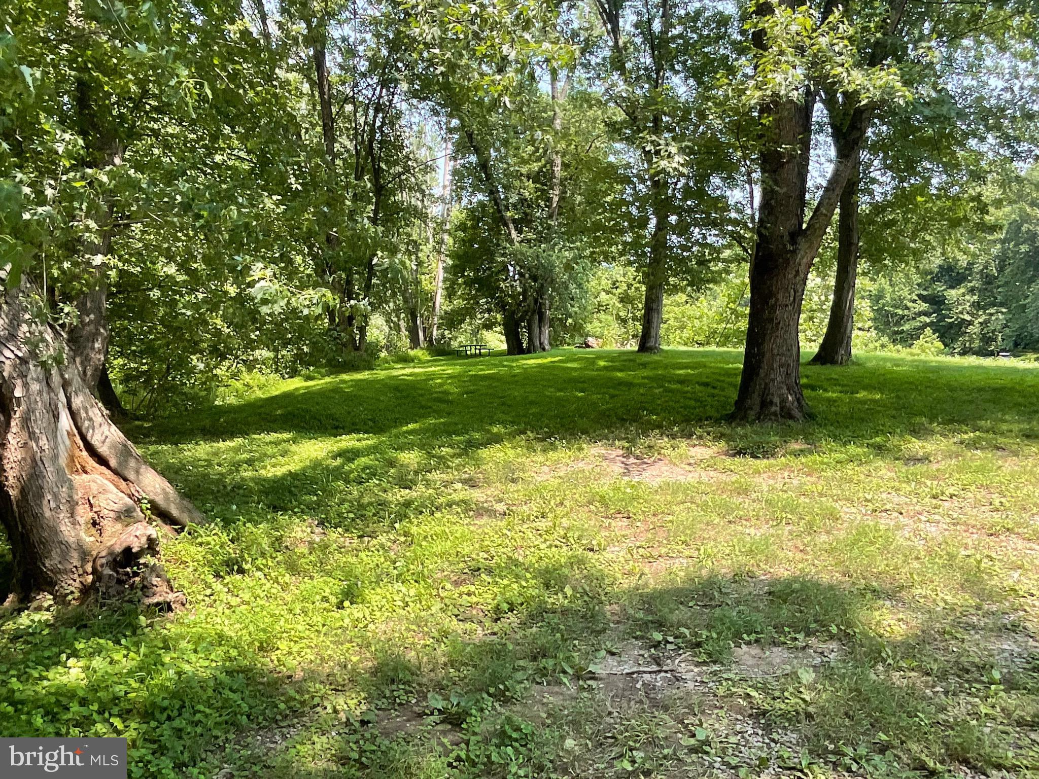 BLUFFS ON THE POTOMAC - Residential