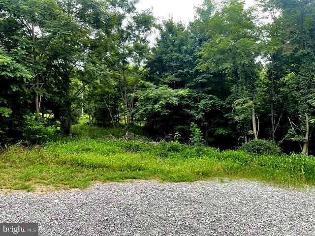 BLUFFS ON THE POTOMAC - Residential