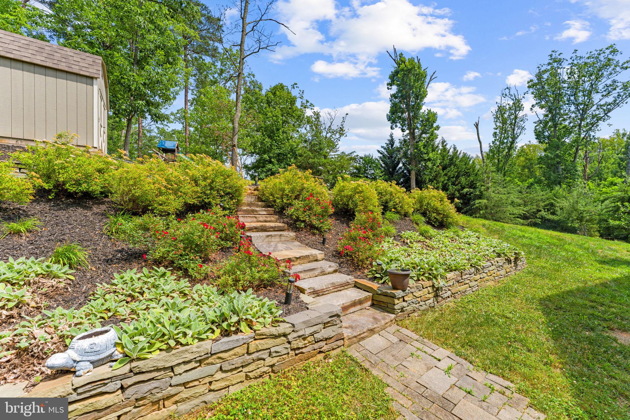 PARRAMORE - Residential