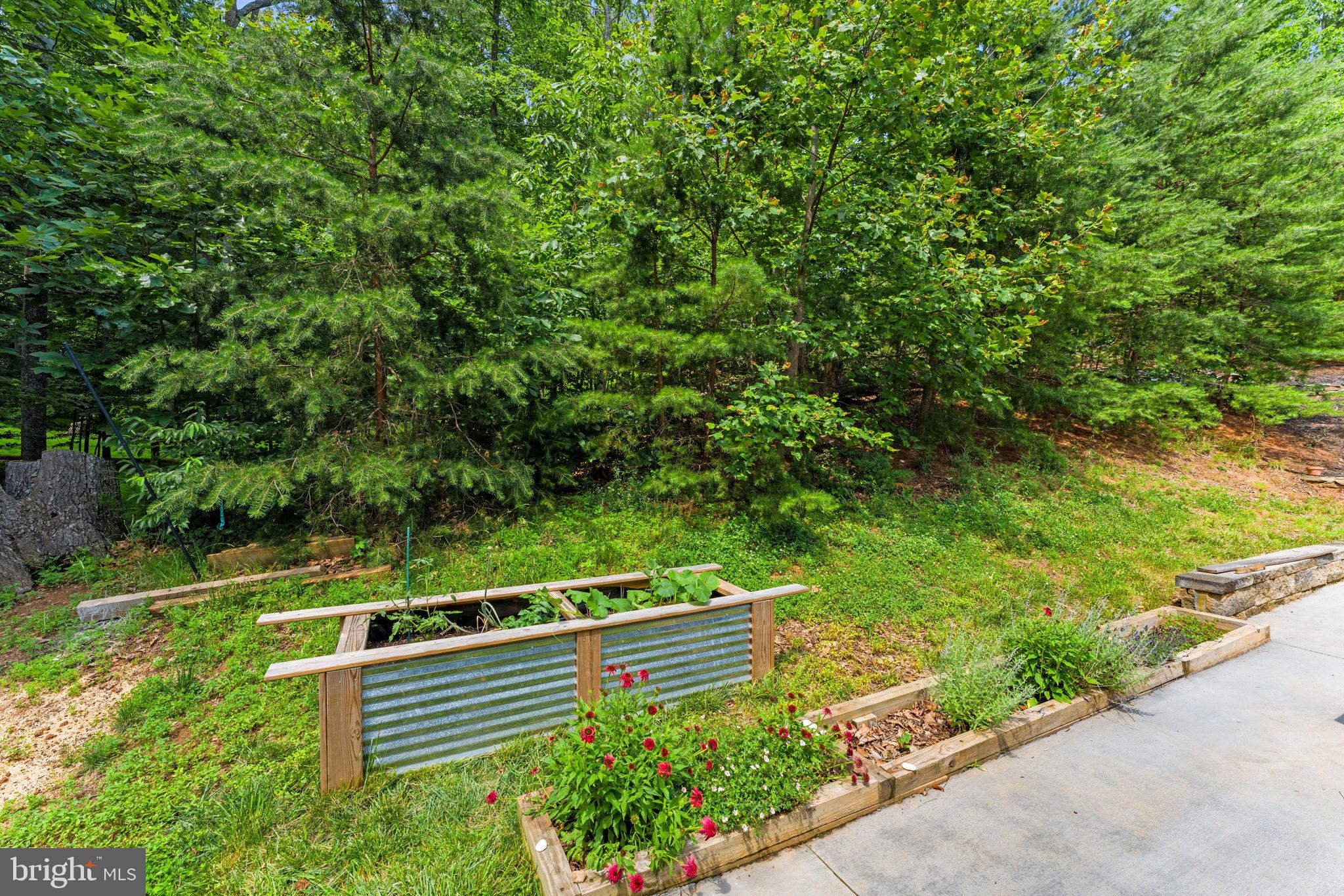 PARRAMORE - Residential