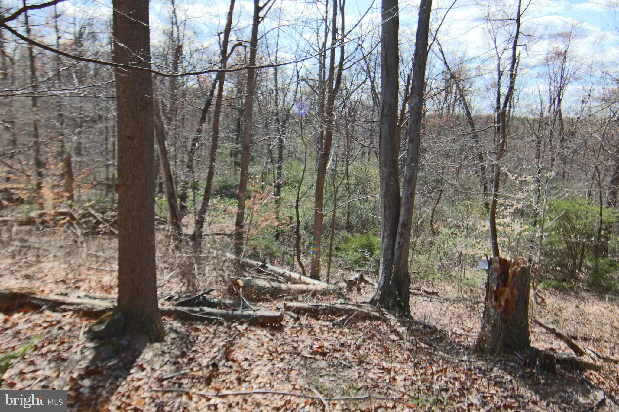 This 13.63-acre wooded lot, located in the heart of South Londonderry Township, offers a tranquil setting with ample space for building your dream home or creating a private hunting retreat. The property includes a deeded right-of-way for access. Please do not try to access property without having listing agent present. Lot is accessible by trails that run throughout lot. Lot touches on the Horse-Shoe Trail that is maintained by a conservatory. Purchase to build or for recreation. Majestic trees and is close to Mount Gretna  Seize the opportunity to make this exceptional parcel yours today!