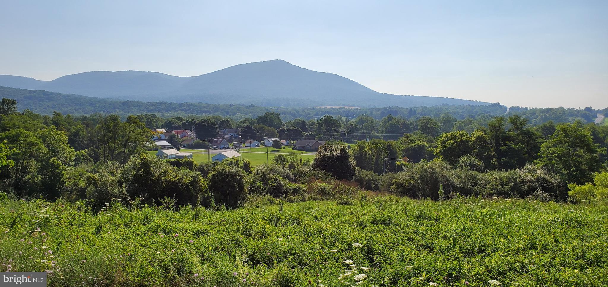 Half - acre building lot with great views of both mountains and valley. Away from the hustle, but close enough for comfort! Bring your own builder!