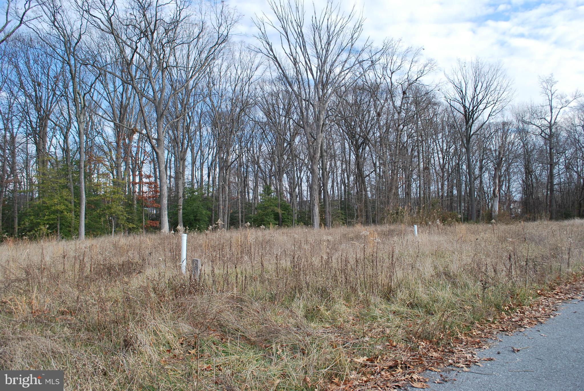 MIDDLE RIVER - Land