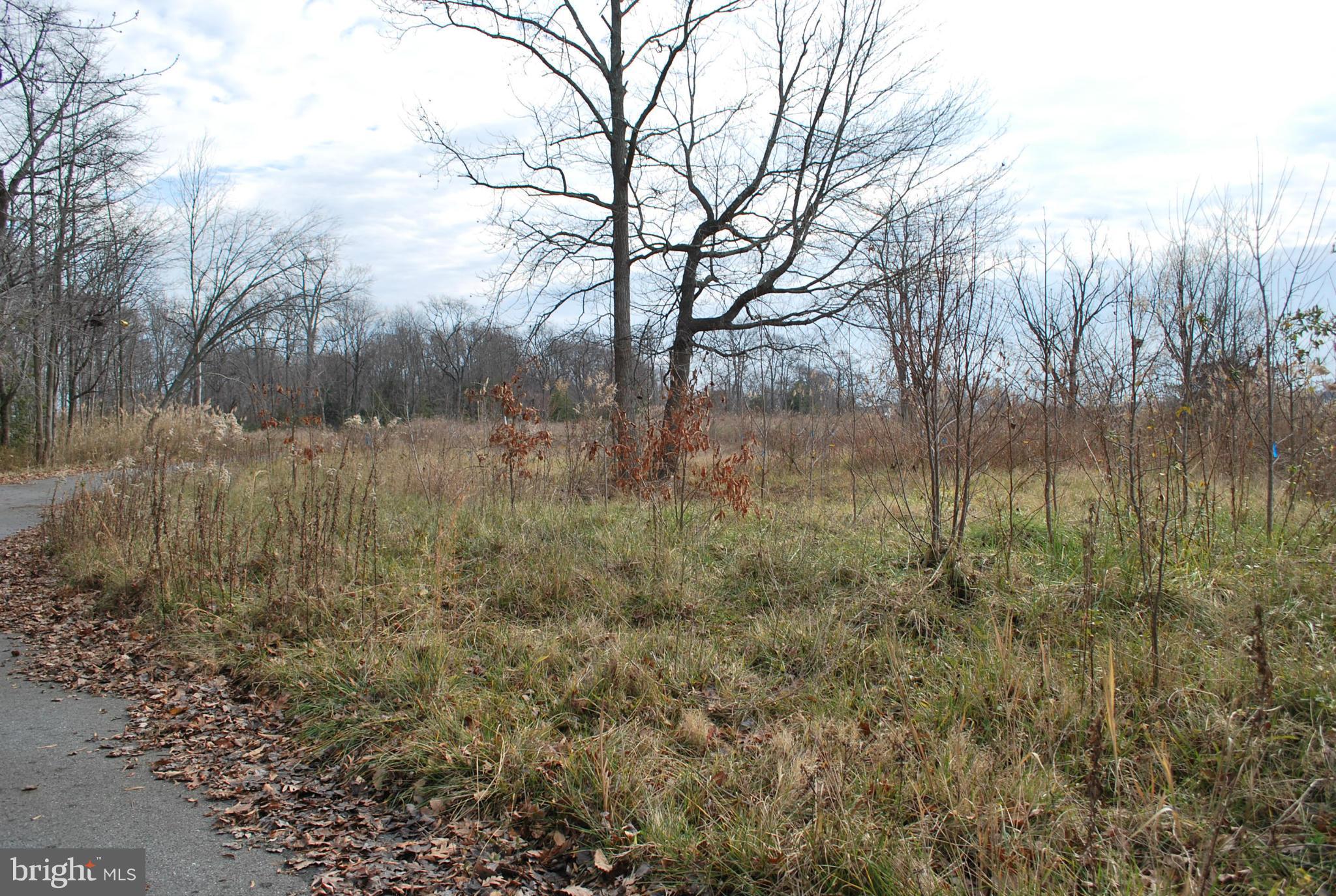 MIDDLE RIVER - Land