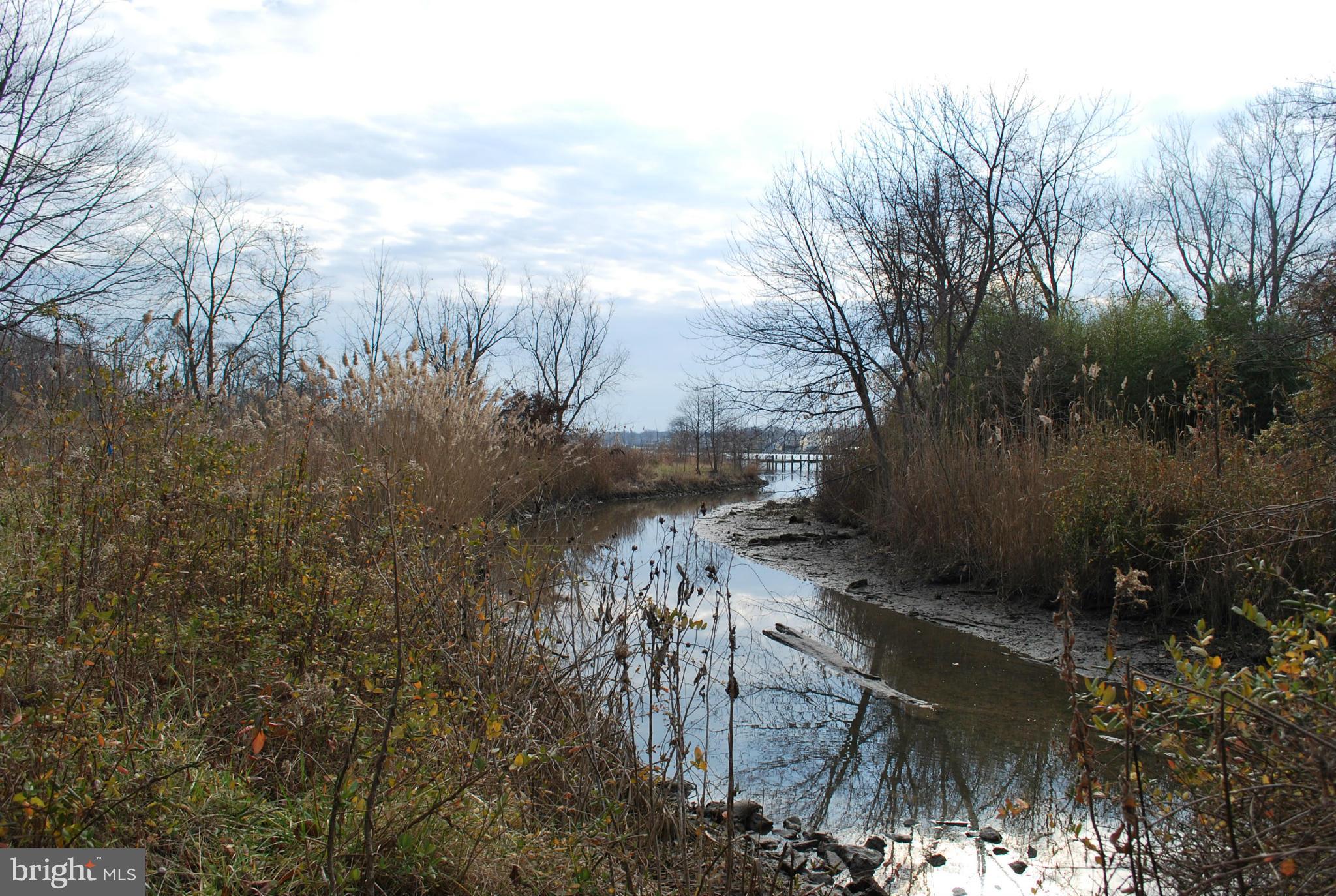 MIDDLE RIVER - Land