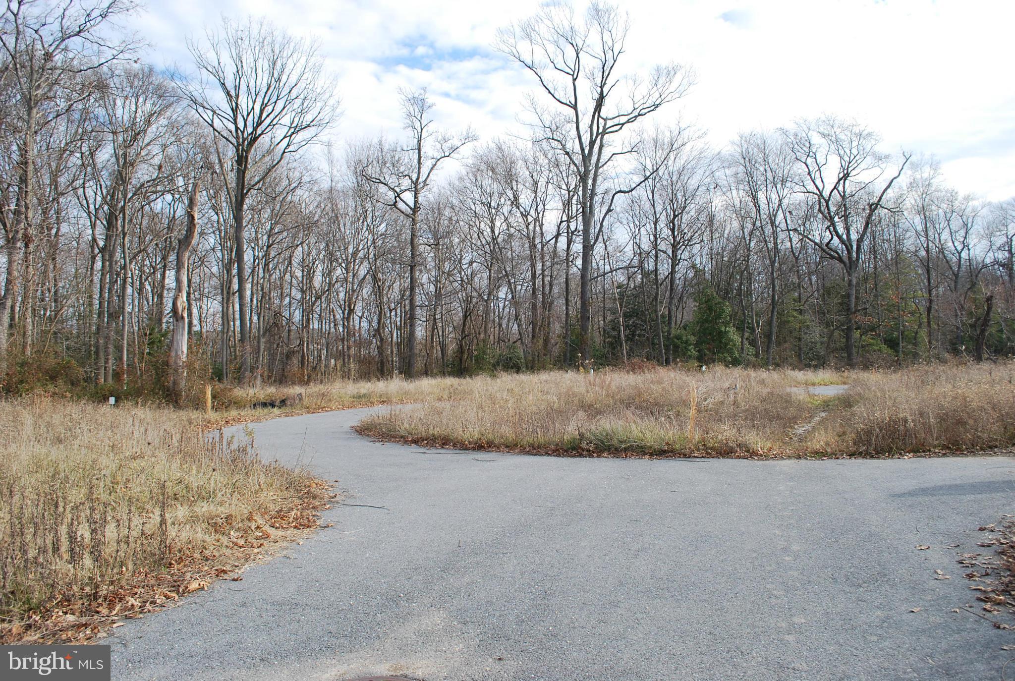 MIDDLE RIVER - Land