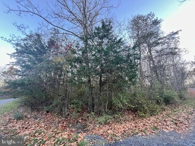 Corner Lot with a View! Land of Luray Lot D9! .54 wooded acre in Land of Luray subdivision. Wooded, level lot!
**Seller offering Owner financing!**
 Terms:
10% down, 6% interest, 2-3 year term!