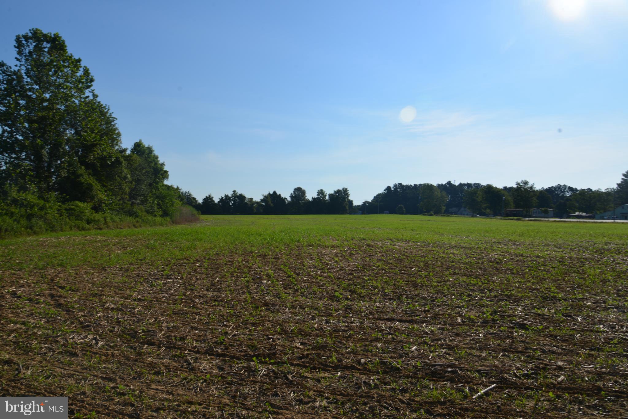 -0- - Farm