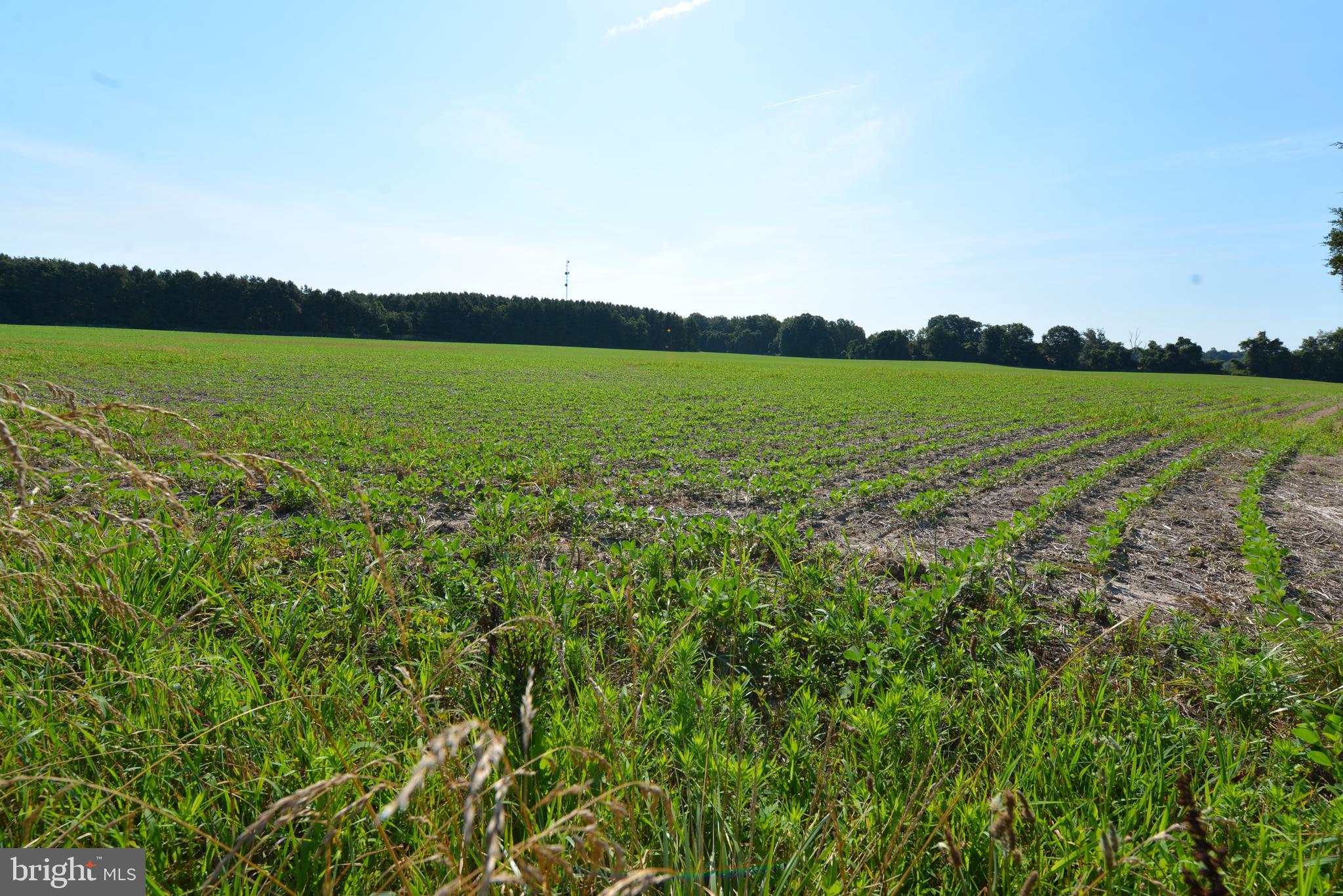 -0- - Farm