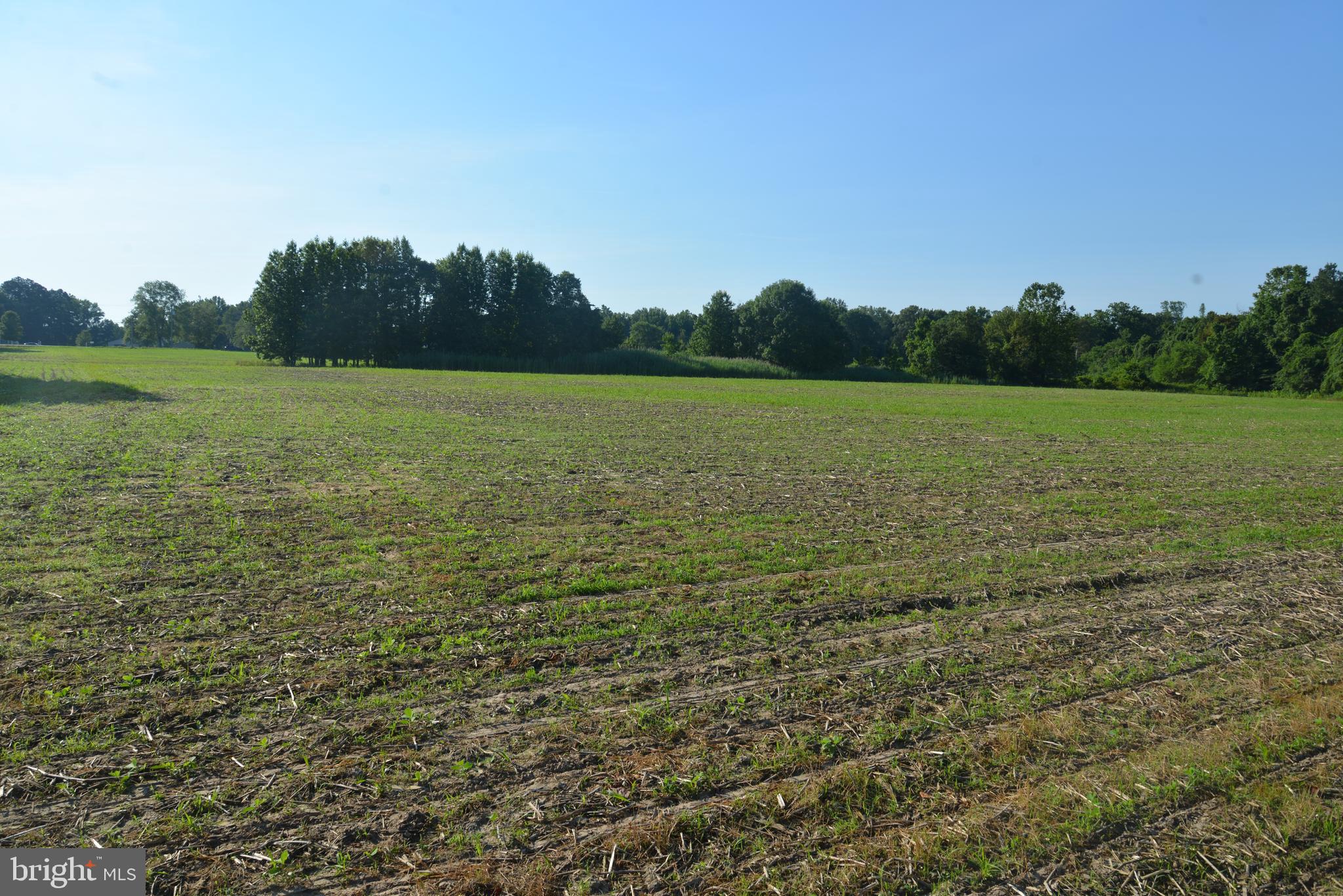 -0- - Farm