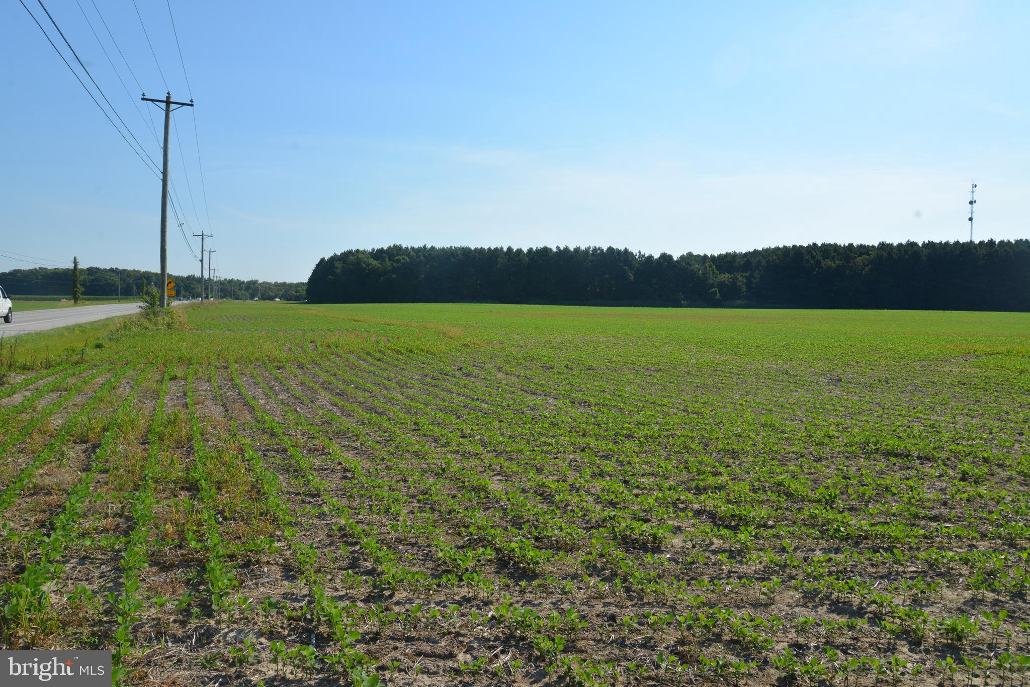 -0- - Farm
