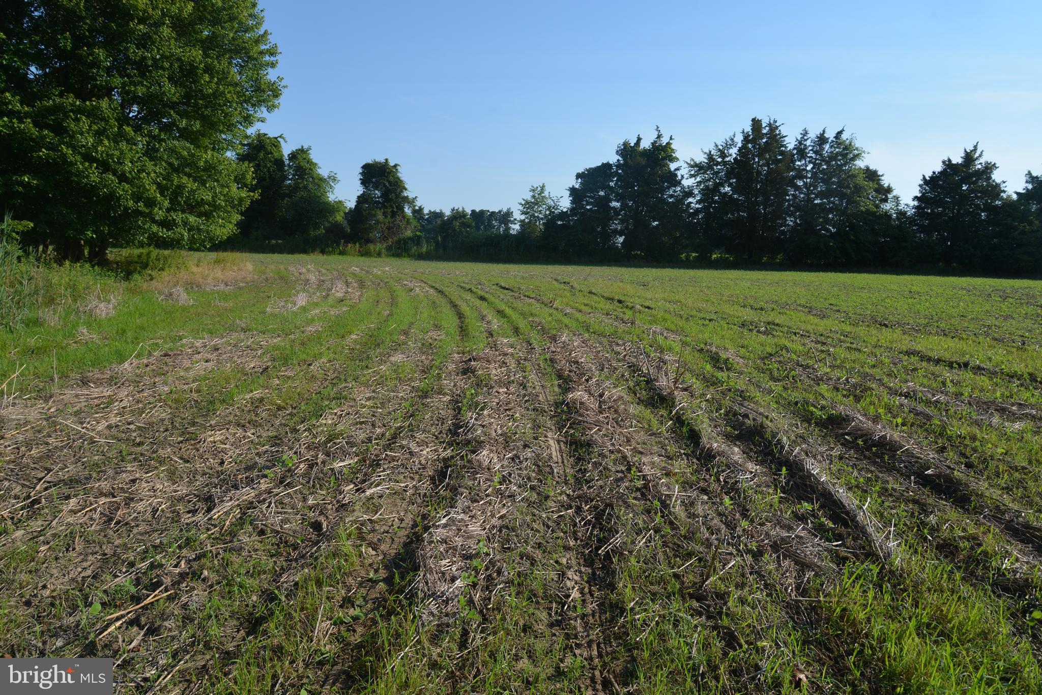 -0- - Farm
