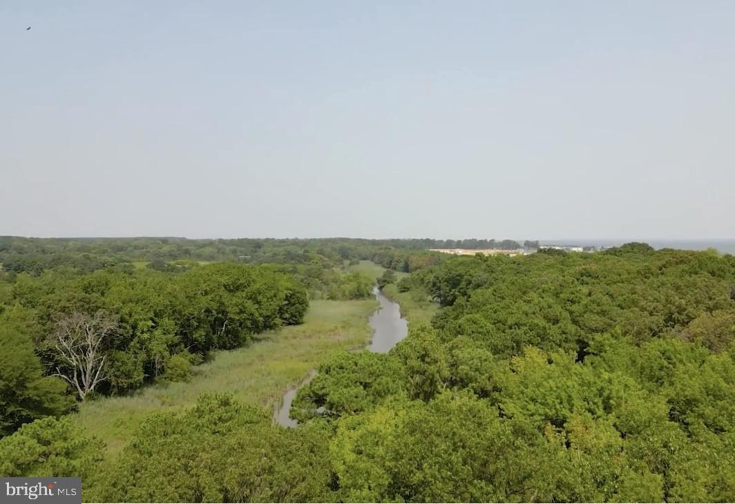 FOUR SEASONS AT KENT ISLAND - Residential