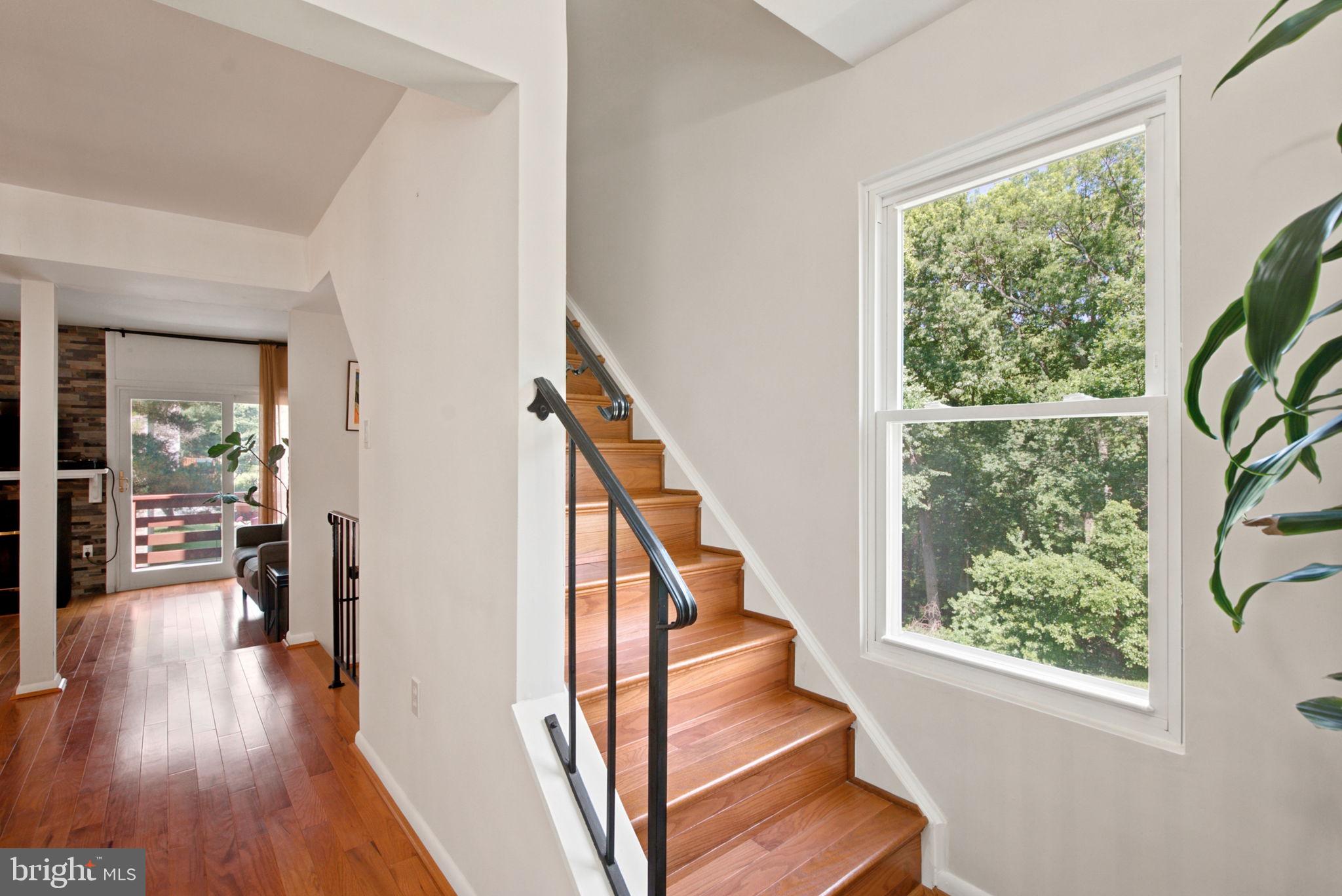 SENECA PARK - Residential