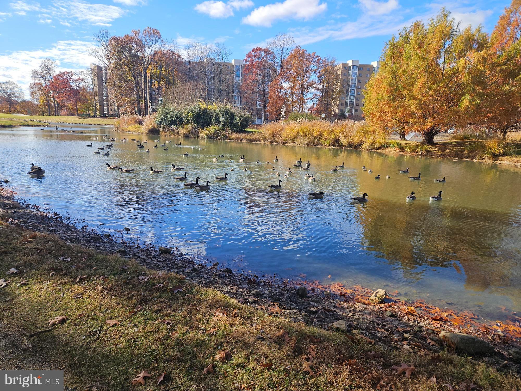 GREENS AT LEISURE WORLD - Residential