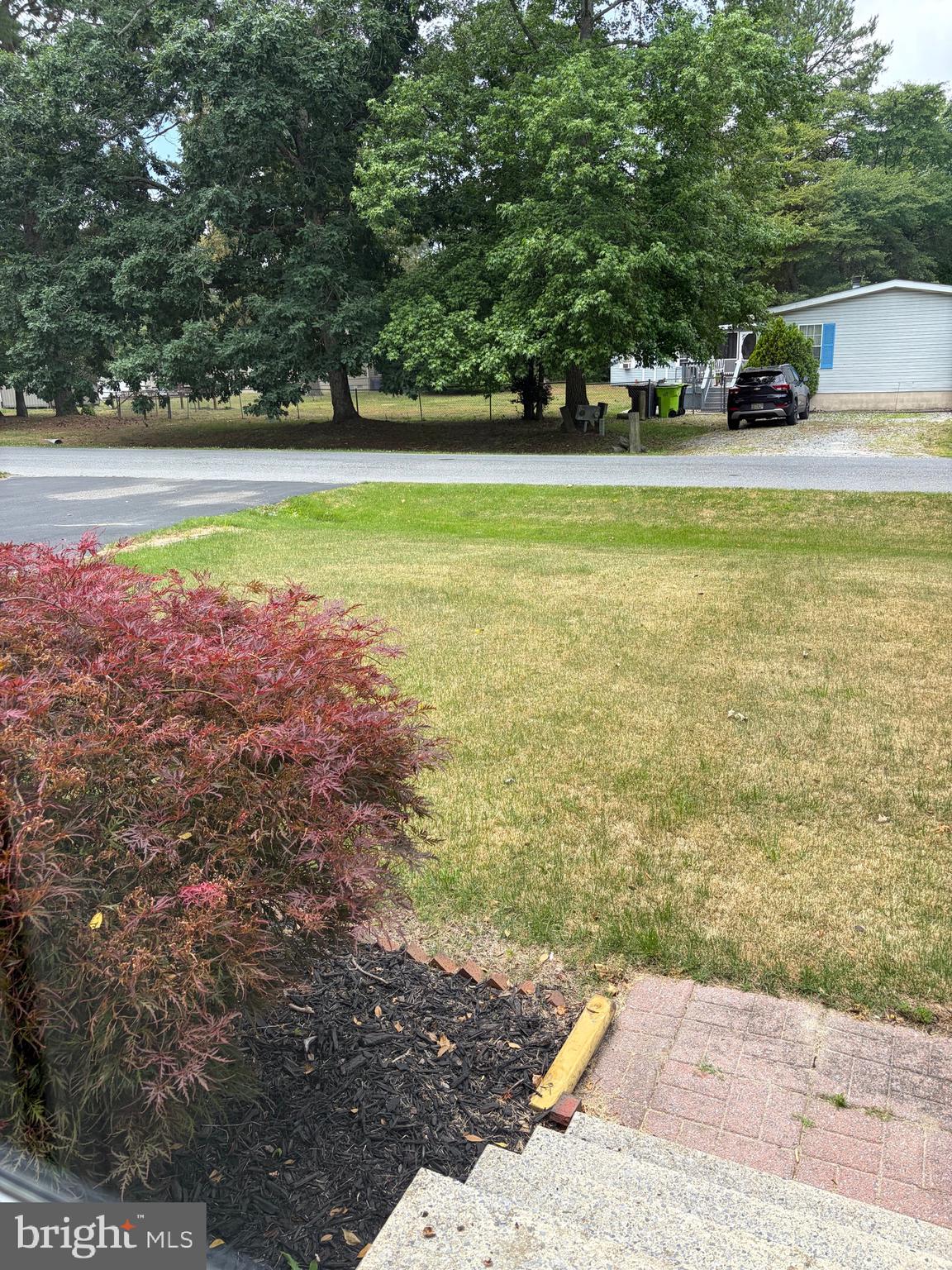 AVALON PARK - Residential