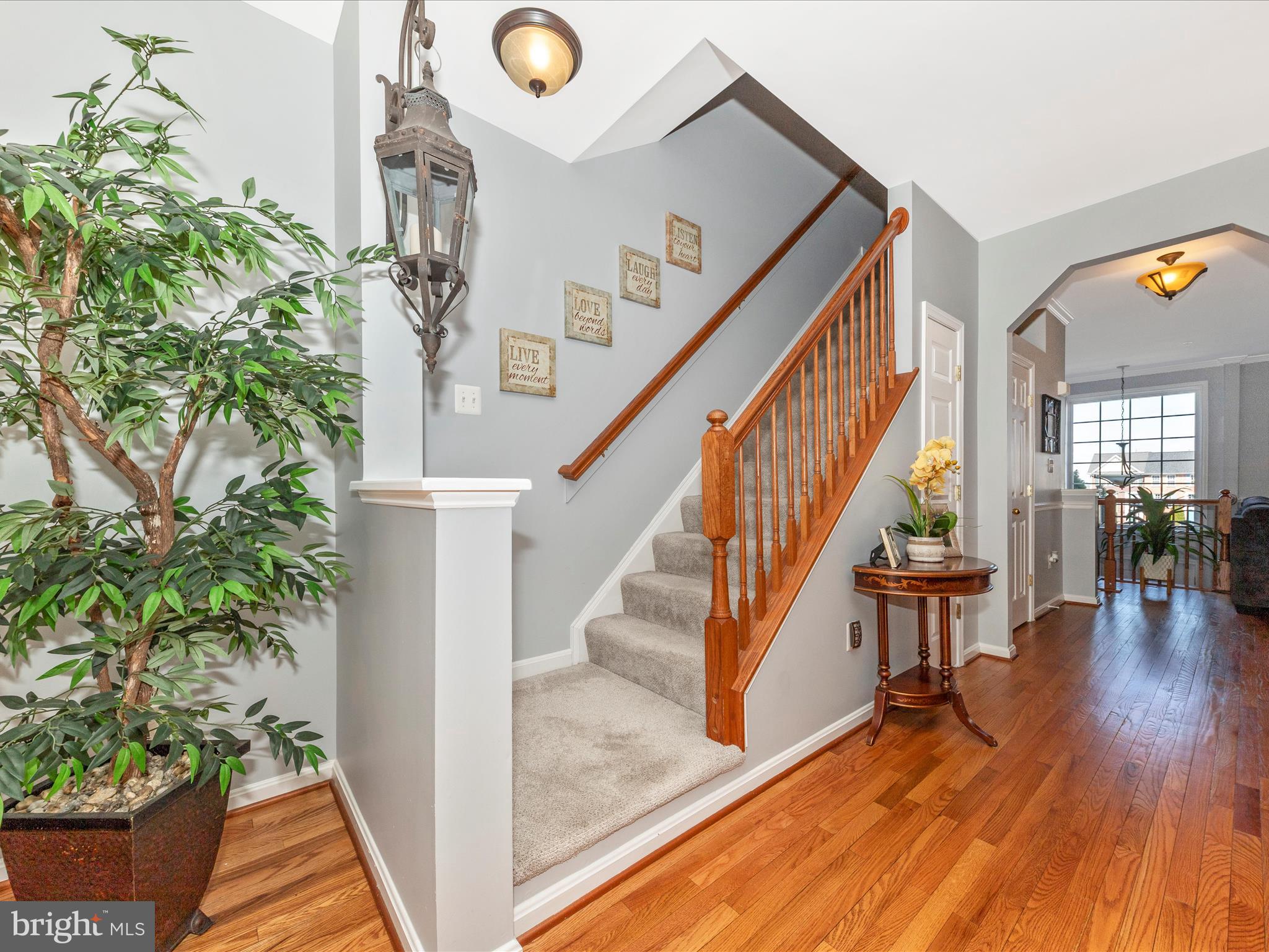 FLETCHER'S GROVE - Residential