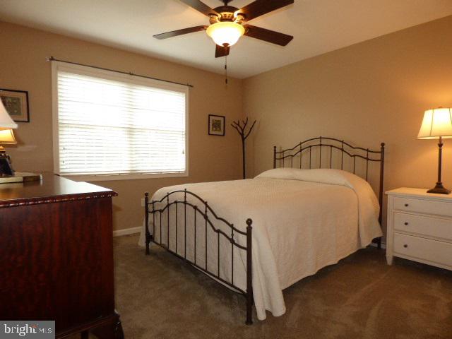 KENDALE HEIGHTS - Residential