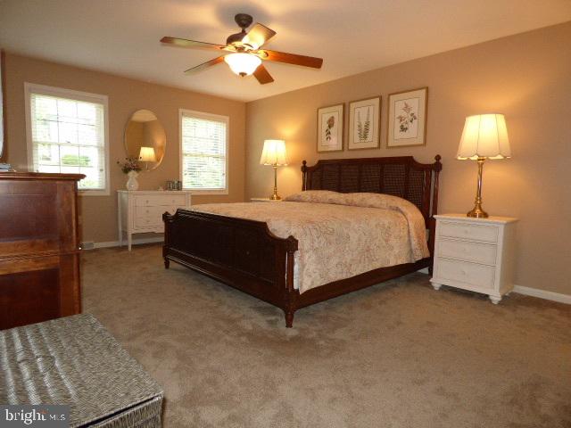 KENDALE HEIGHTS - Residential