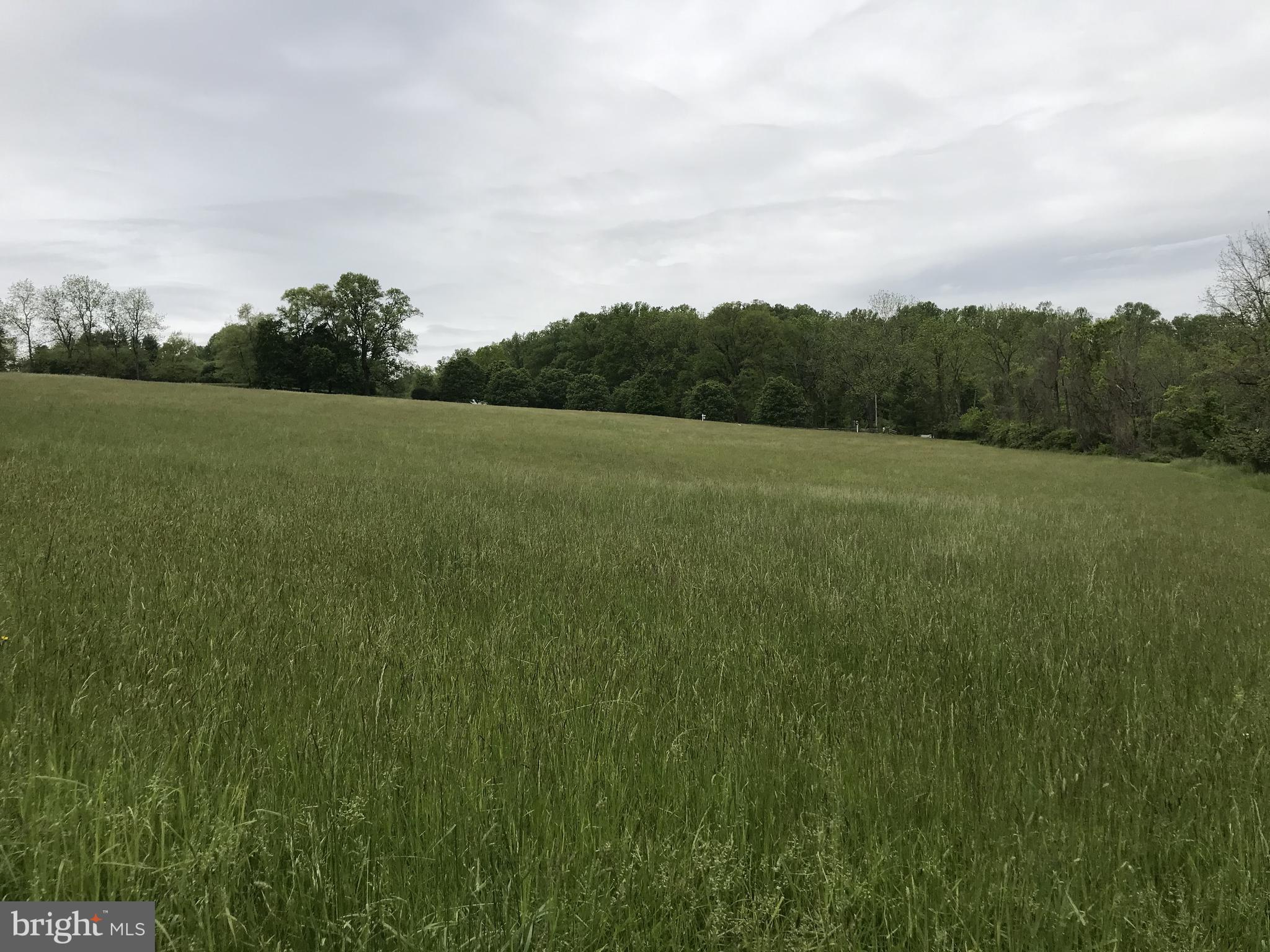NONE AVAILABLE - Land