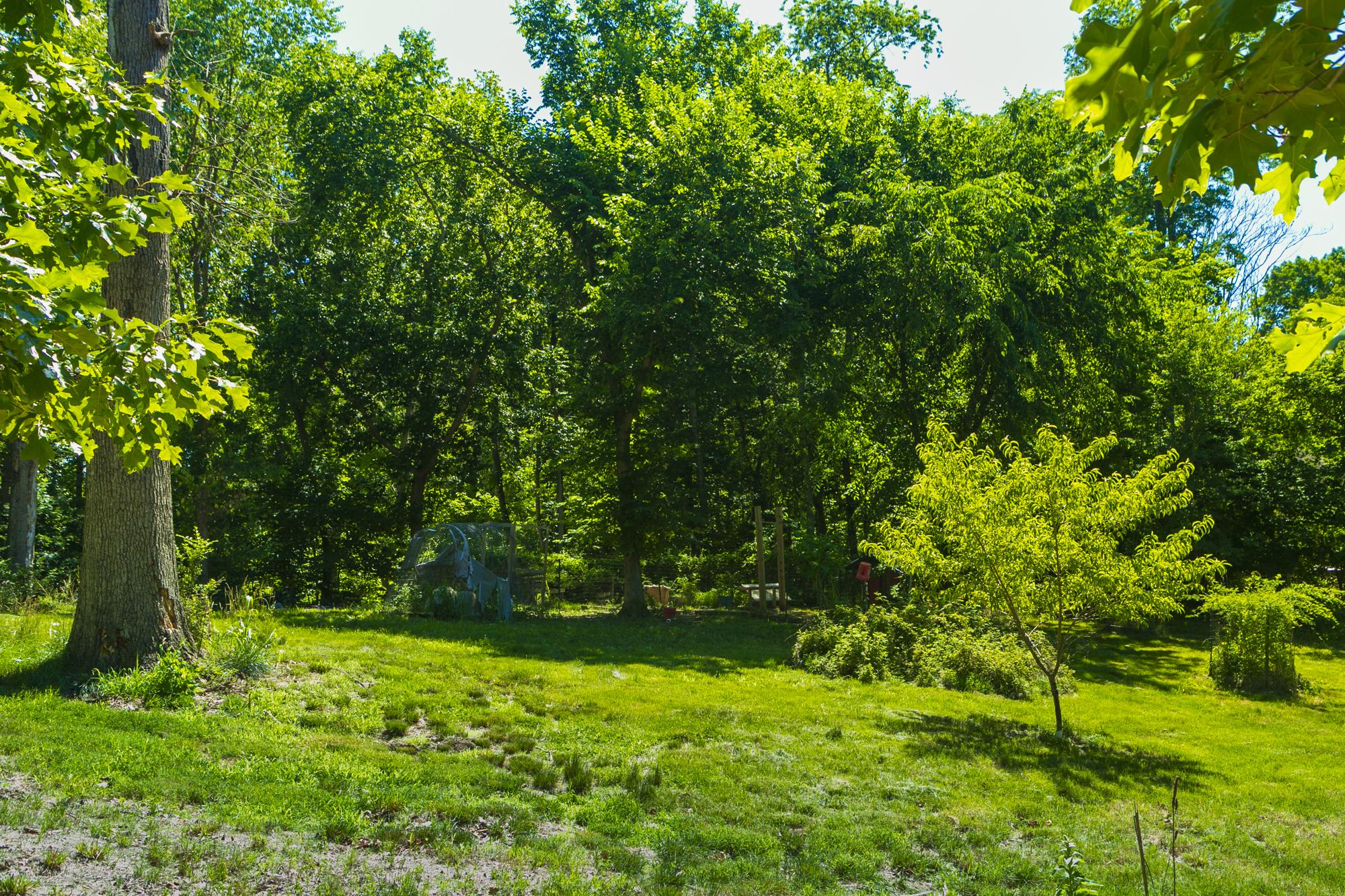 SHANNONDALE - Residential