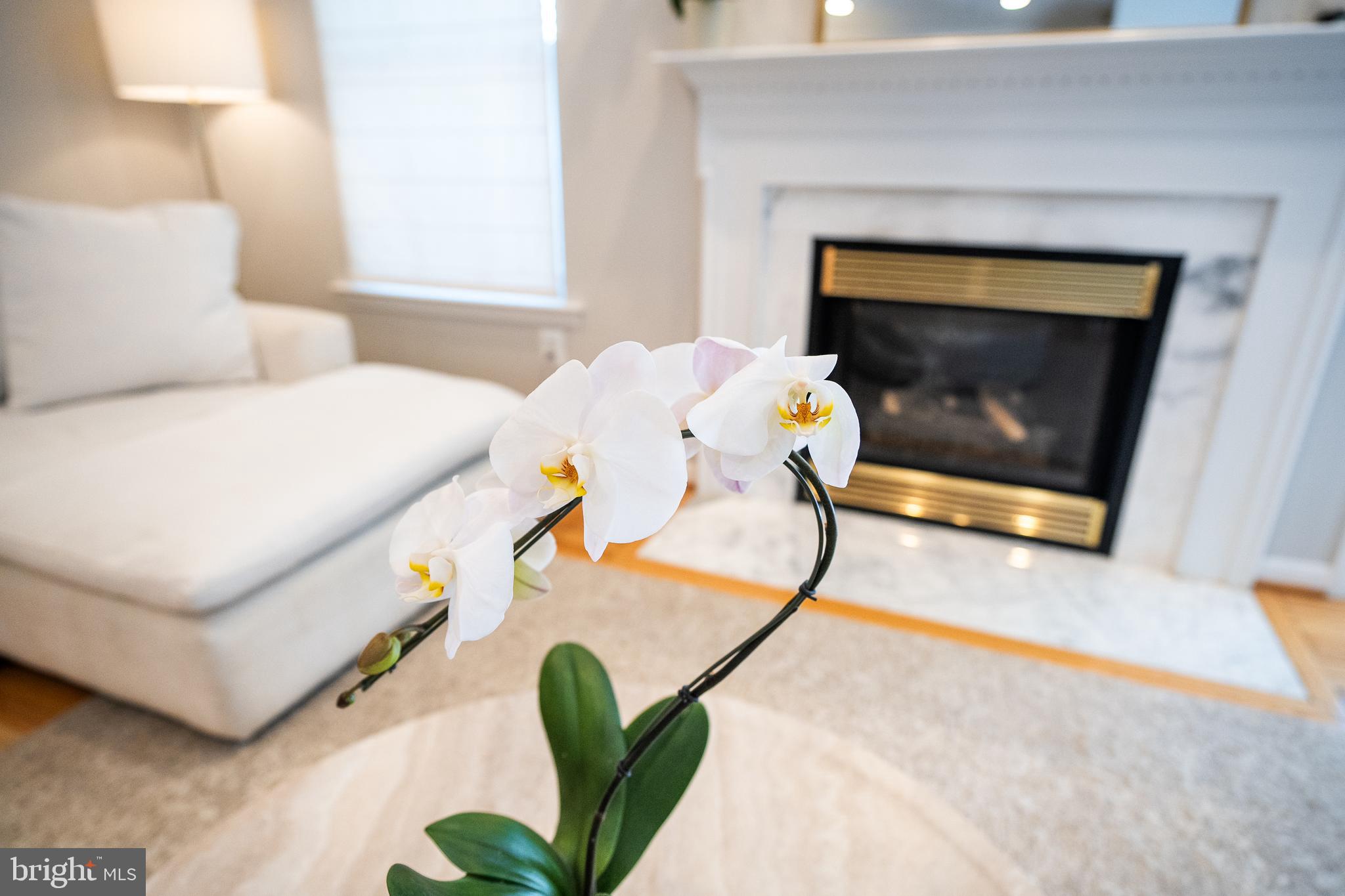 TIDEWATER COLONY - Residential